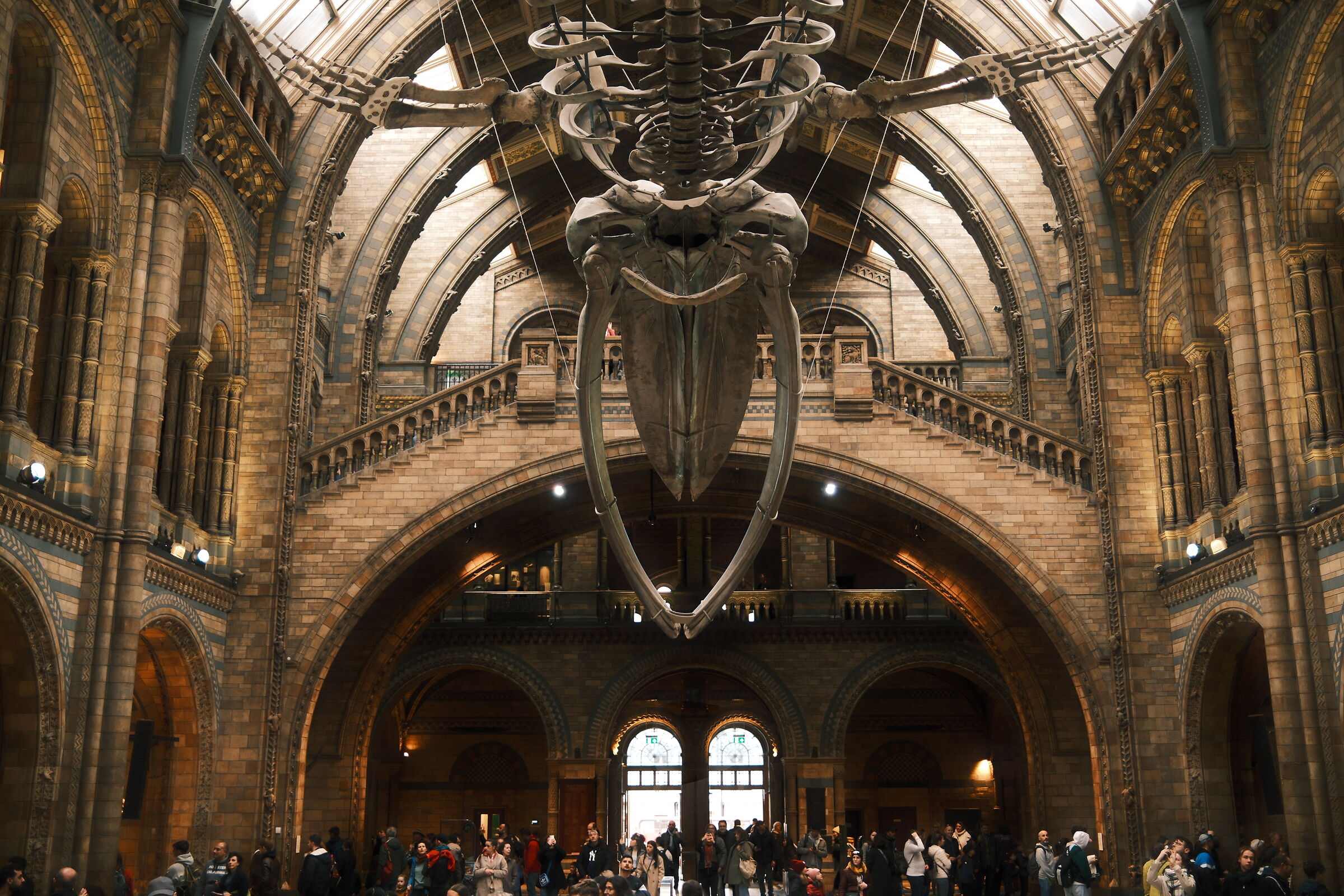 Londra, Natural History Museum