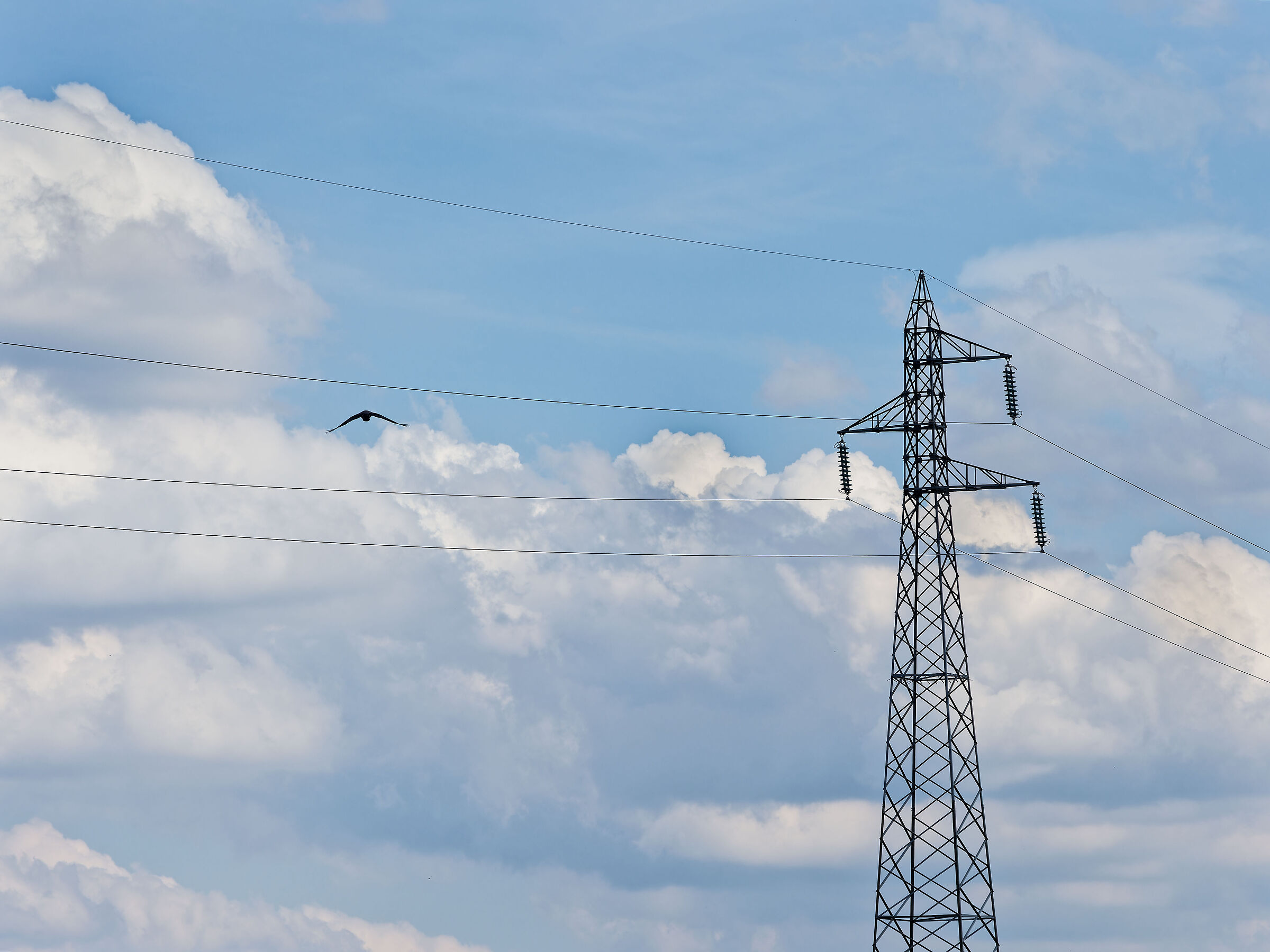 un volo ad "alta tensione"