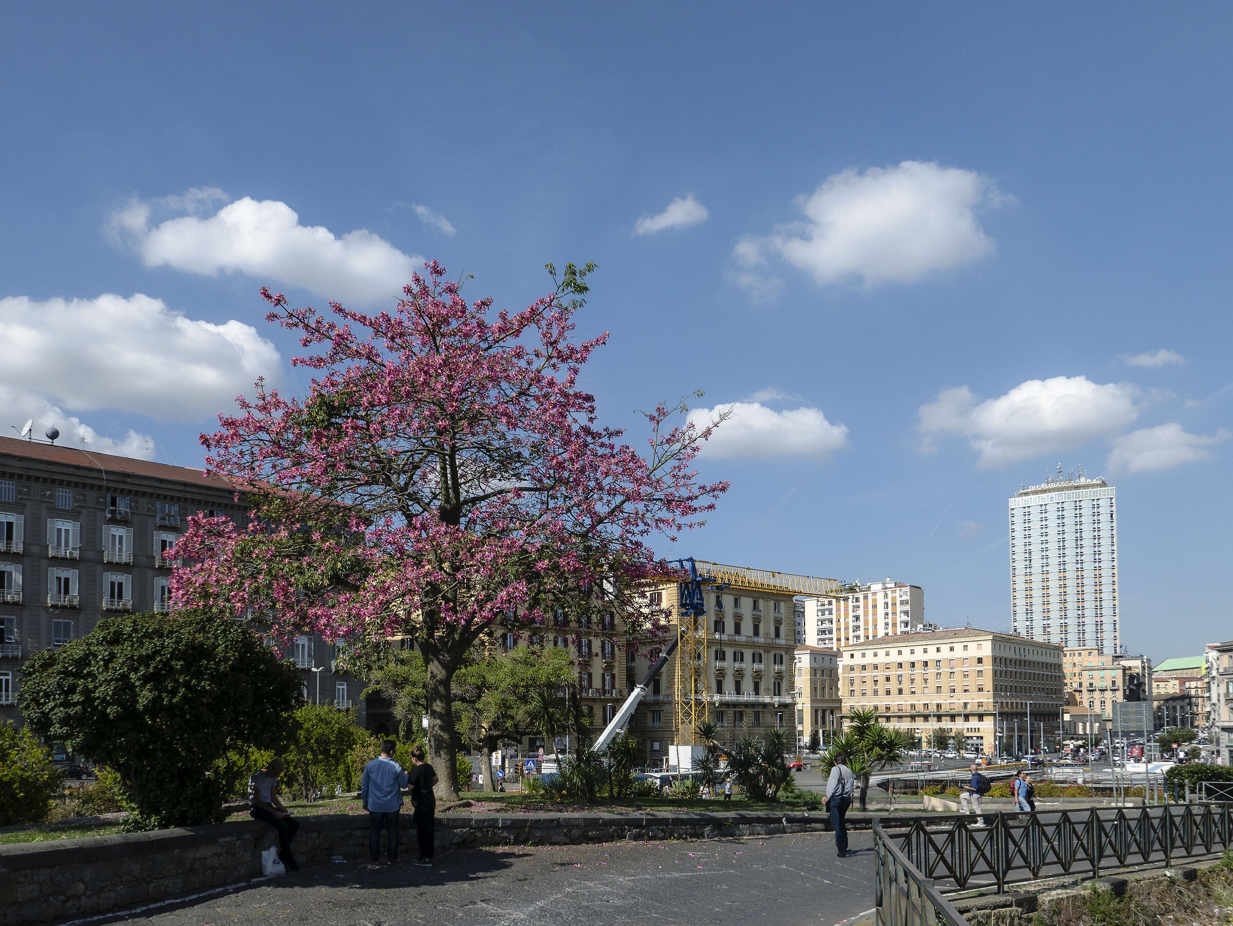 segnali di primavera