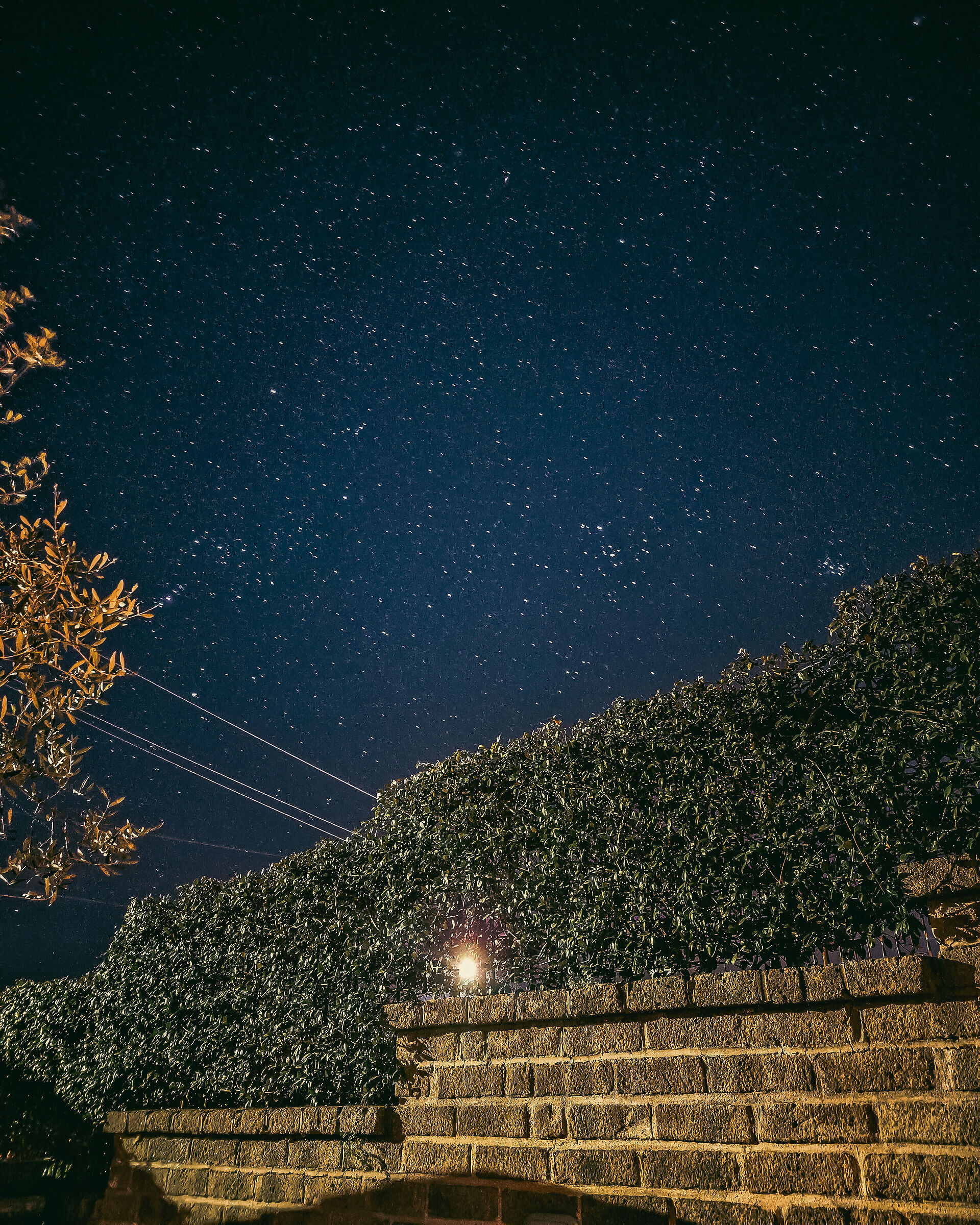 Starry sky
