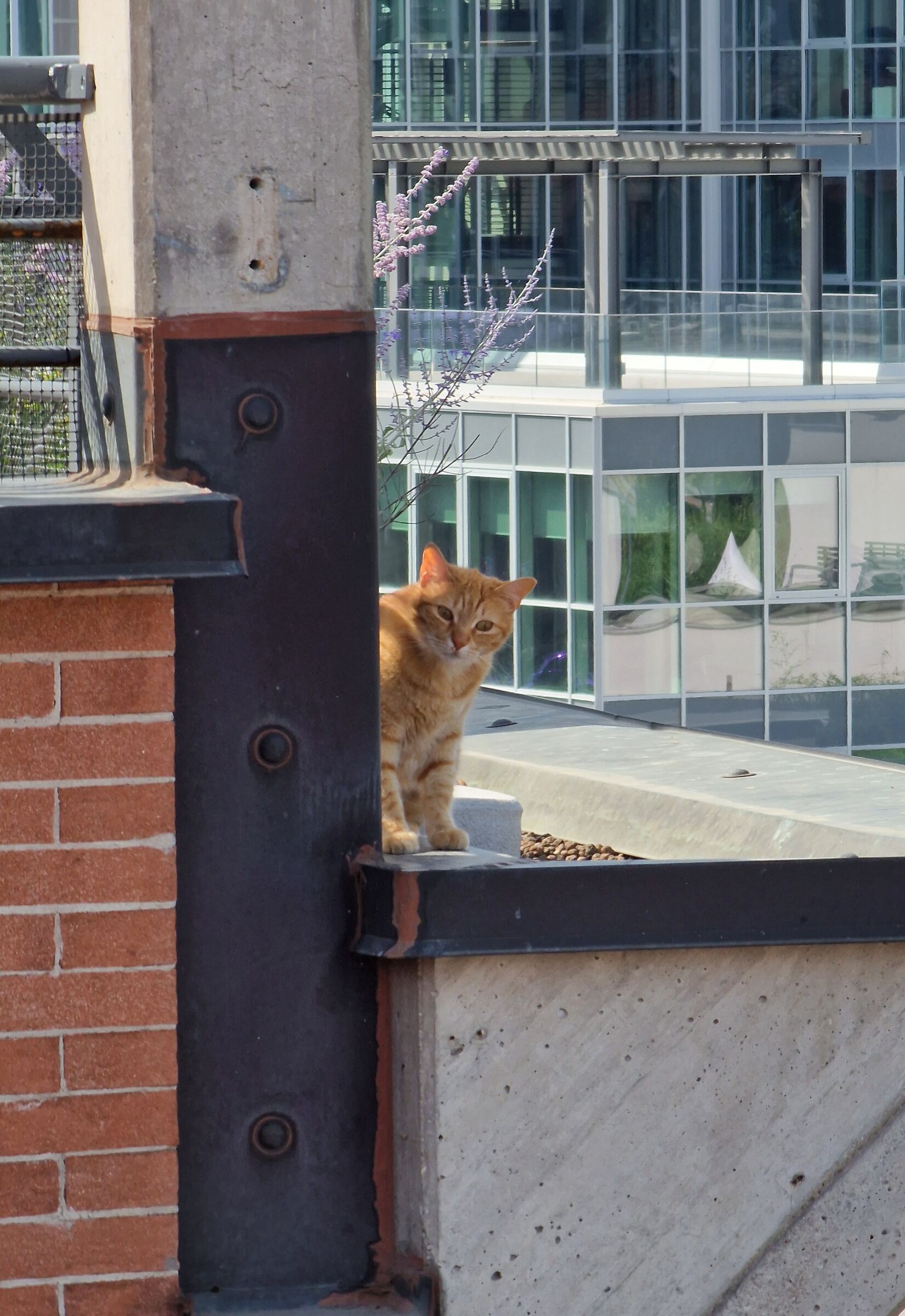 Is there anyone...???