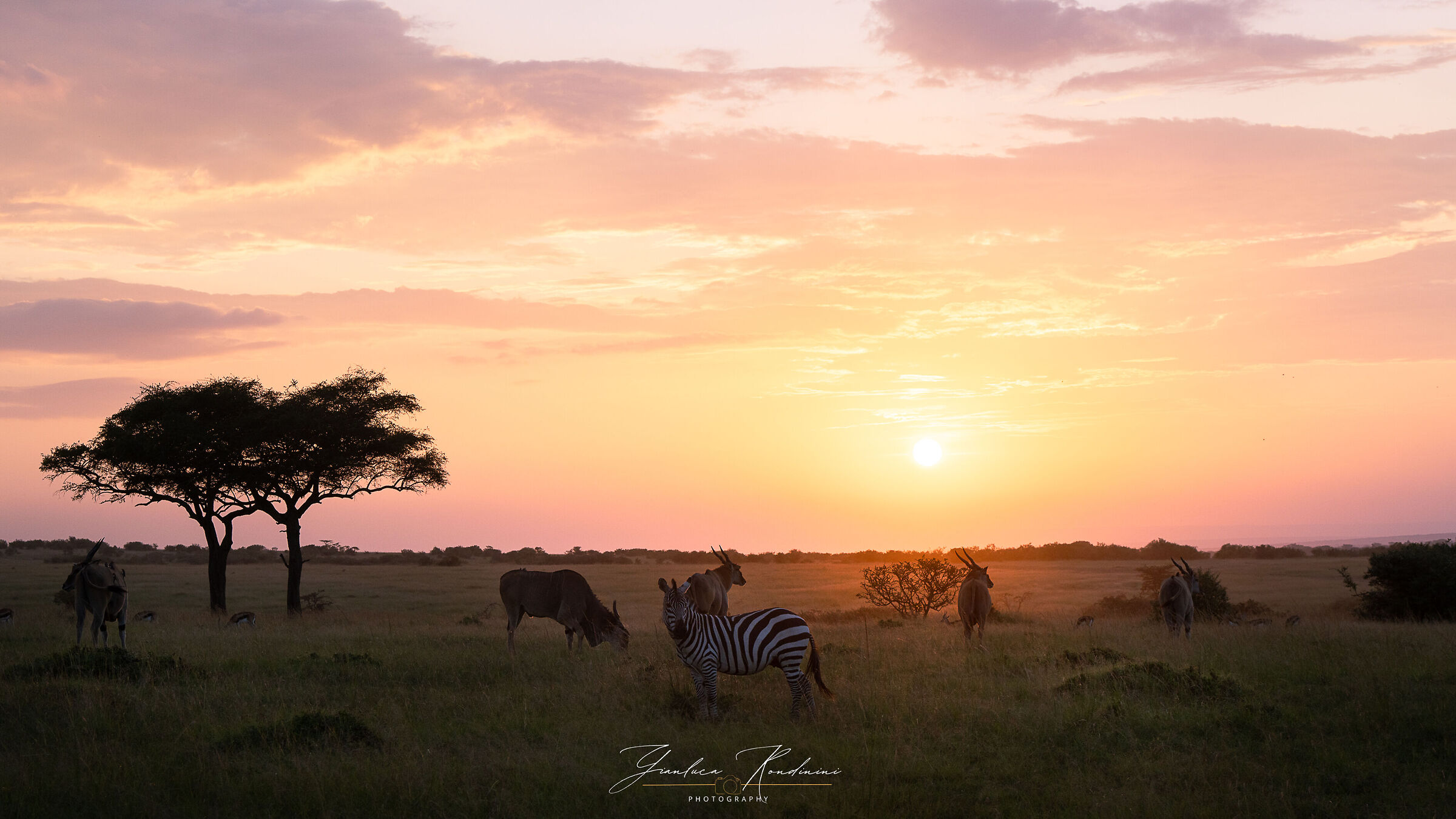 Masai Mara al tramonto