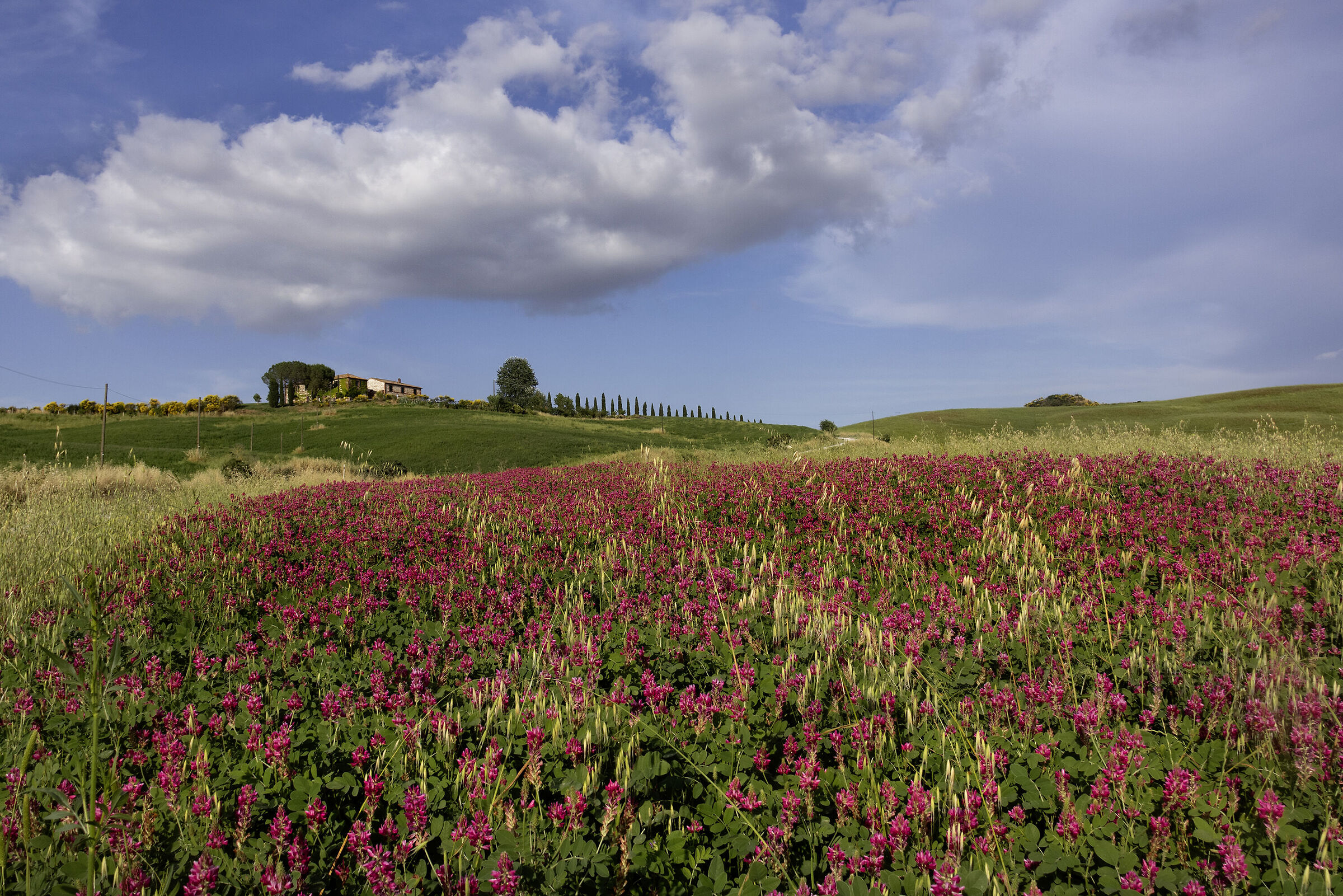 Crete senesi2