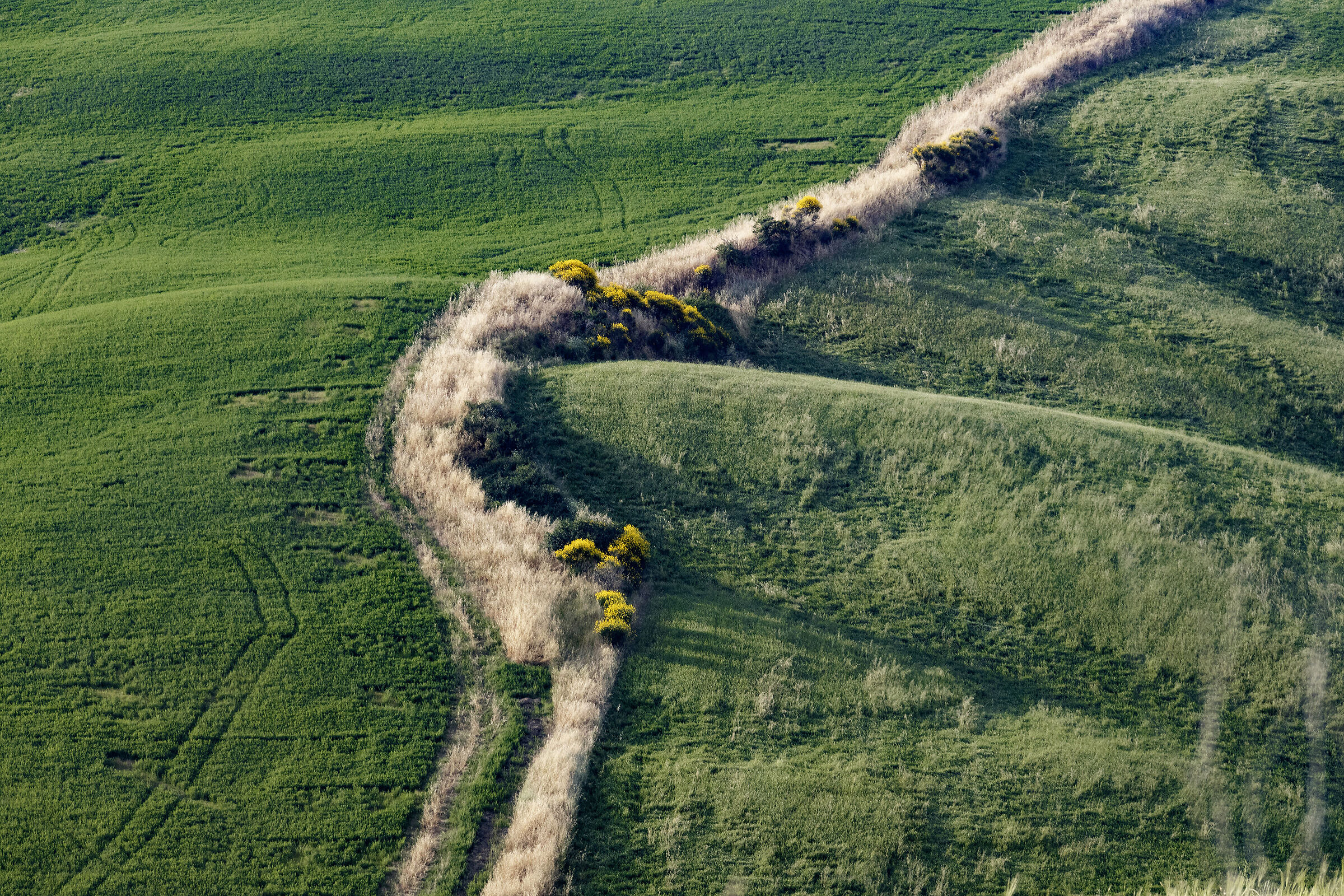 Val d'Orcia
