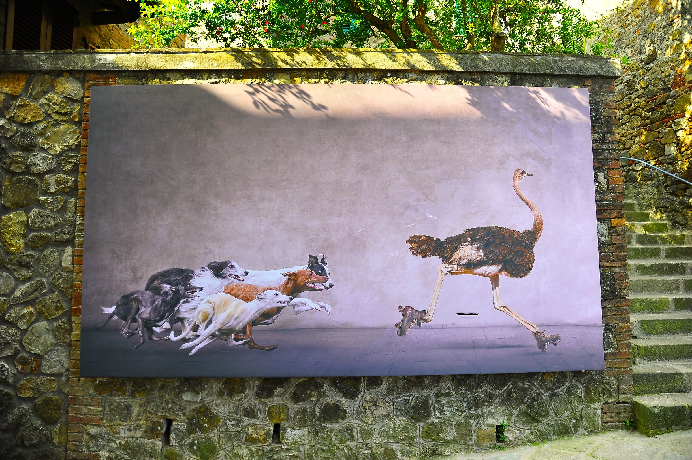 Chiusdino - foto su tela a mò di murales