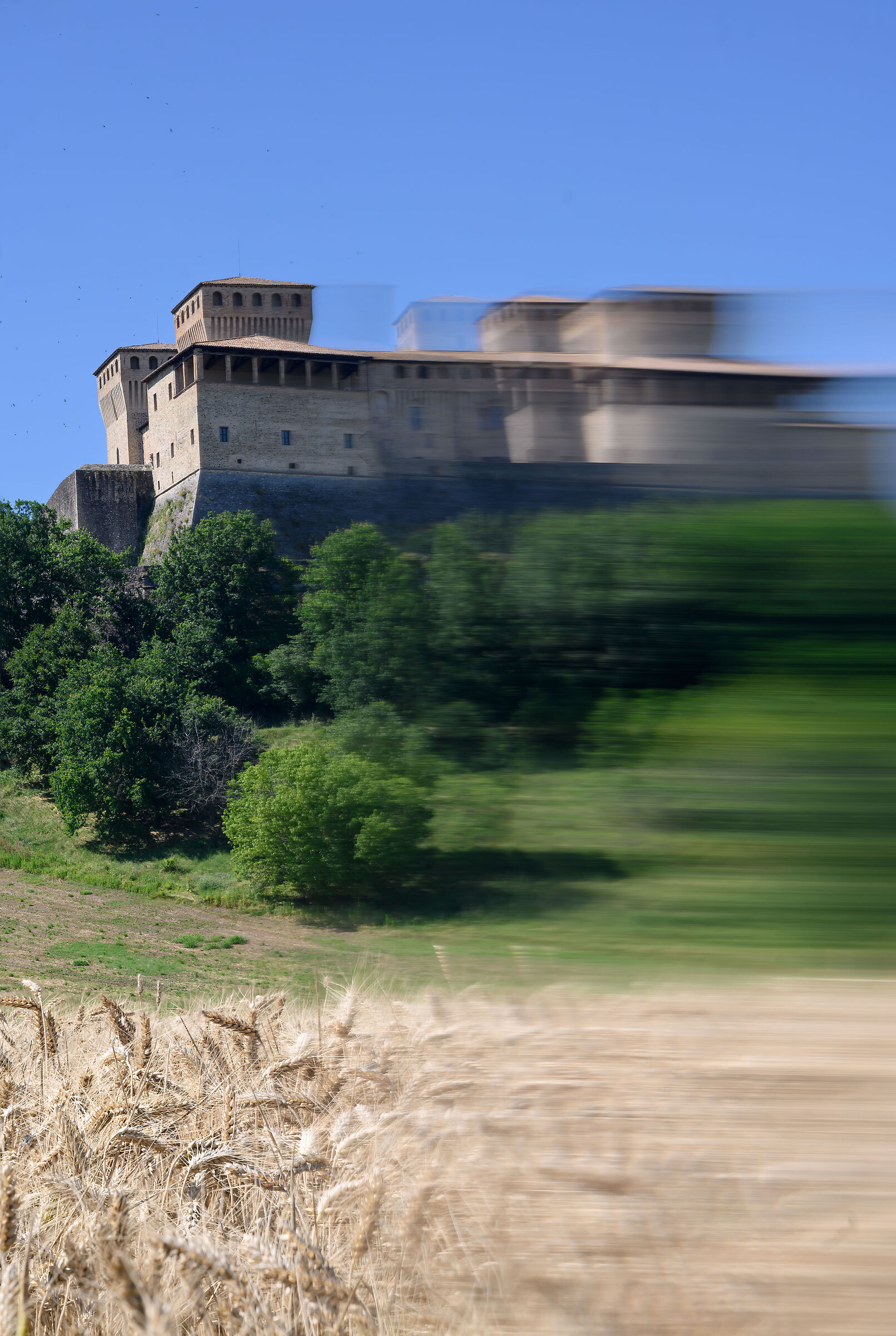 Castello di Torrechiara con grano