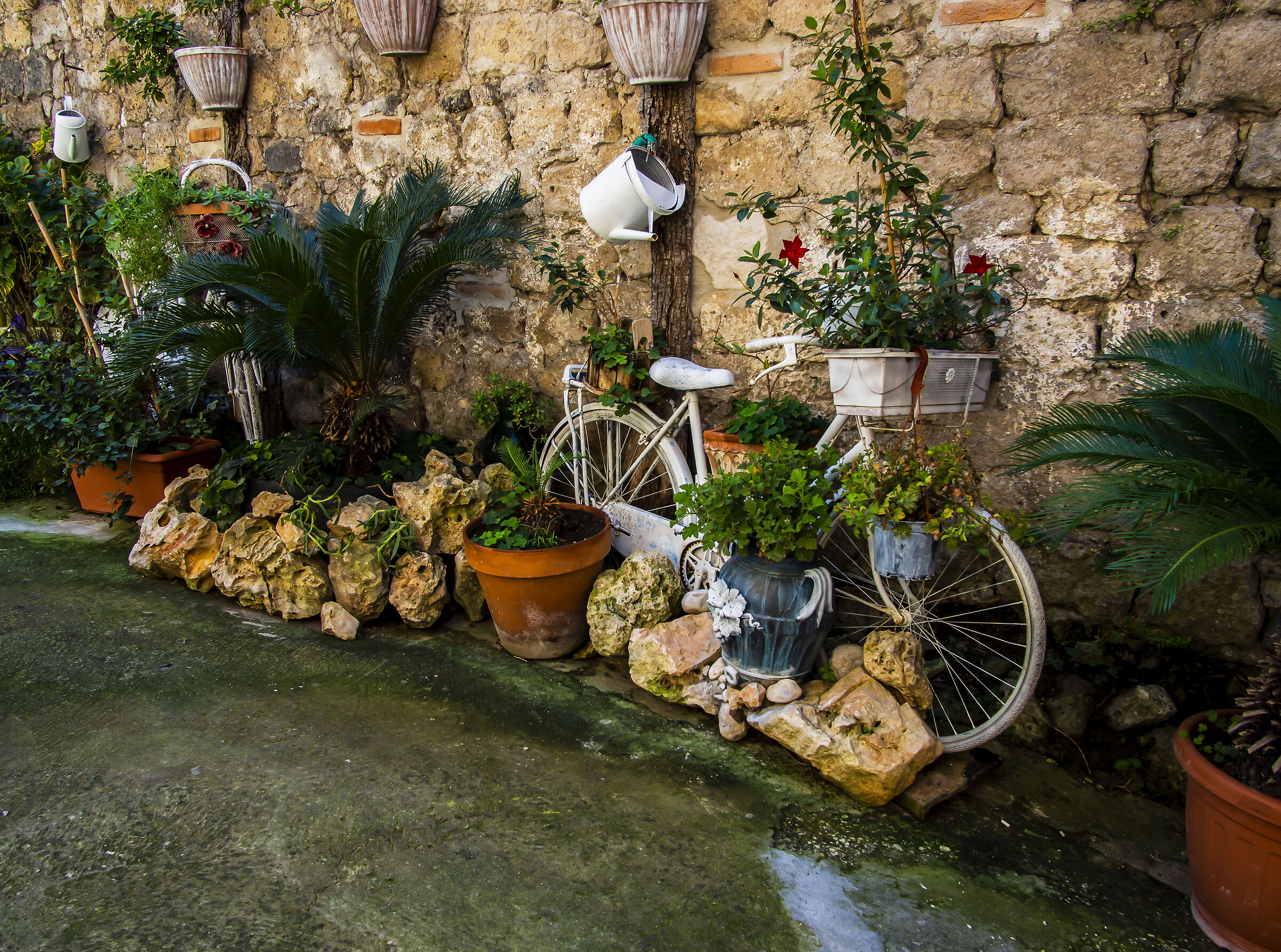 tra piante e fiori un intruso la bici