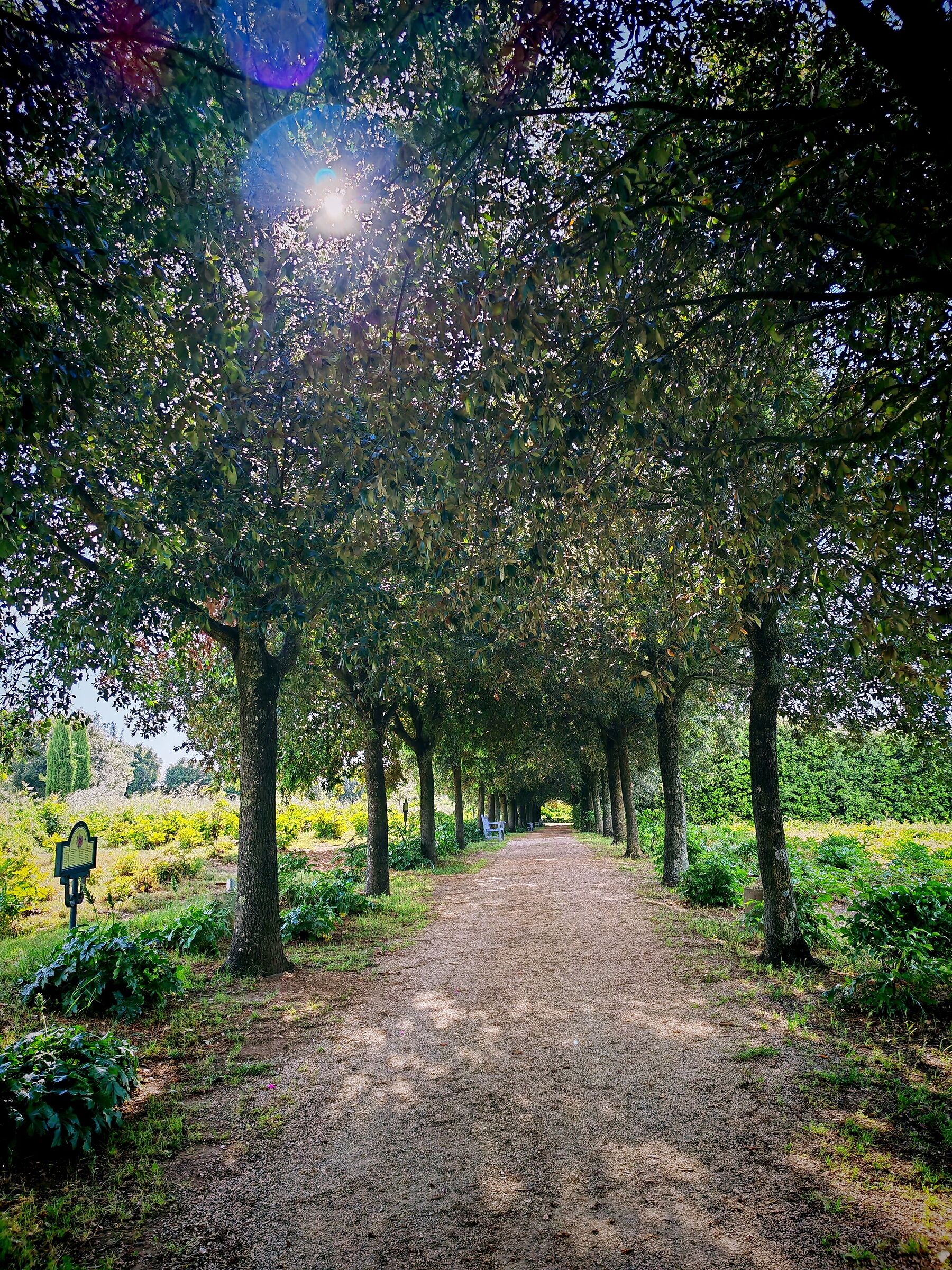 Nature