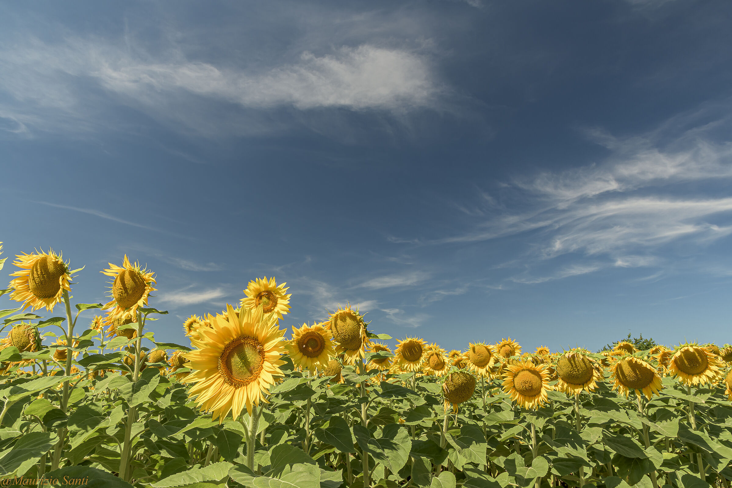 Via tomba forella Ozzano (BO Italy)