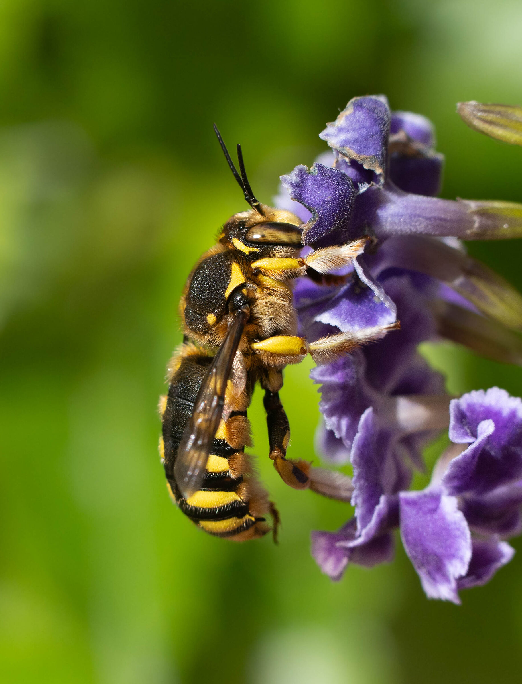 giocando con i tubi macro