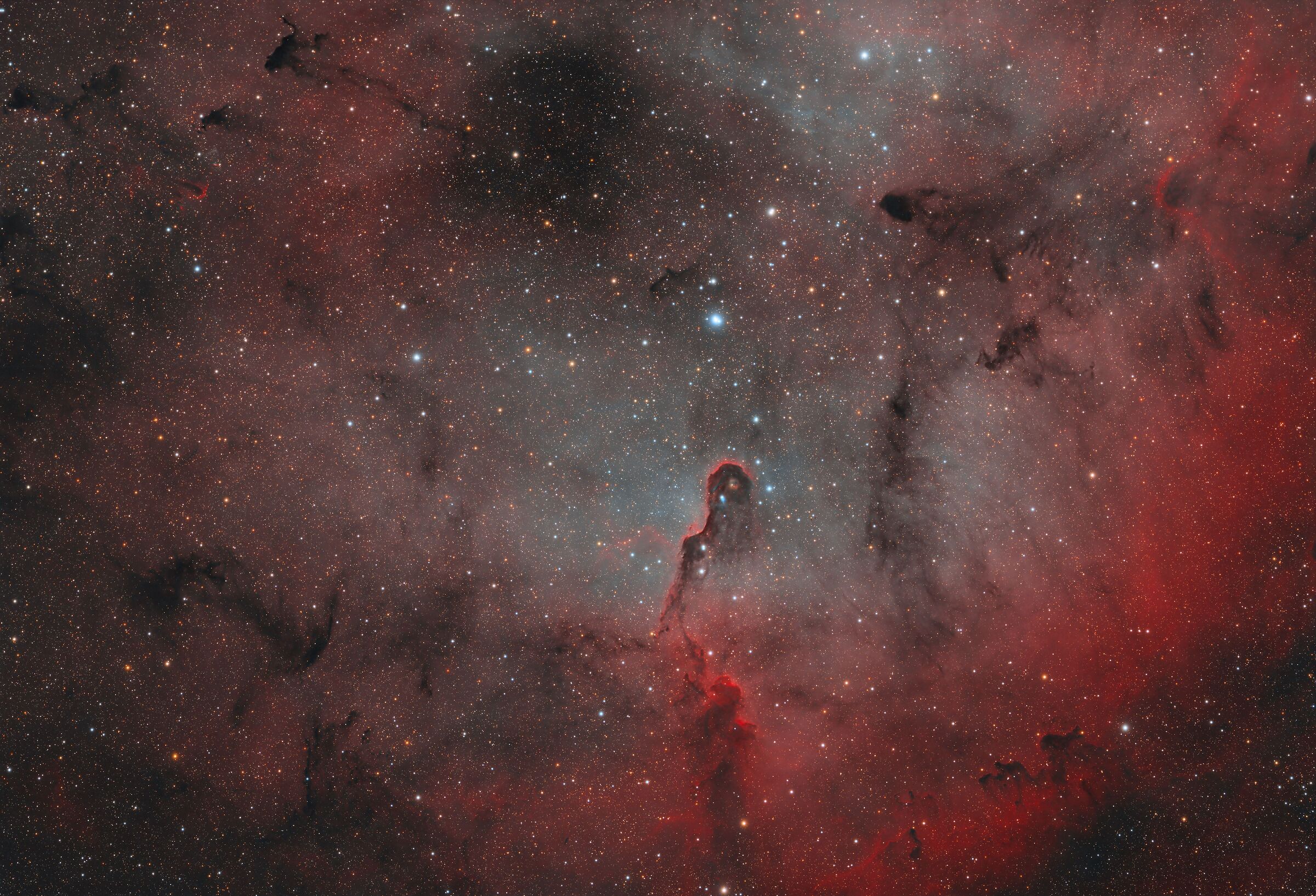 Nebulosa Proboscide