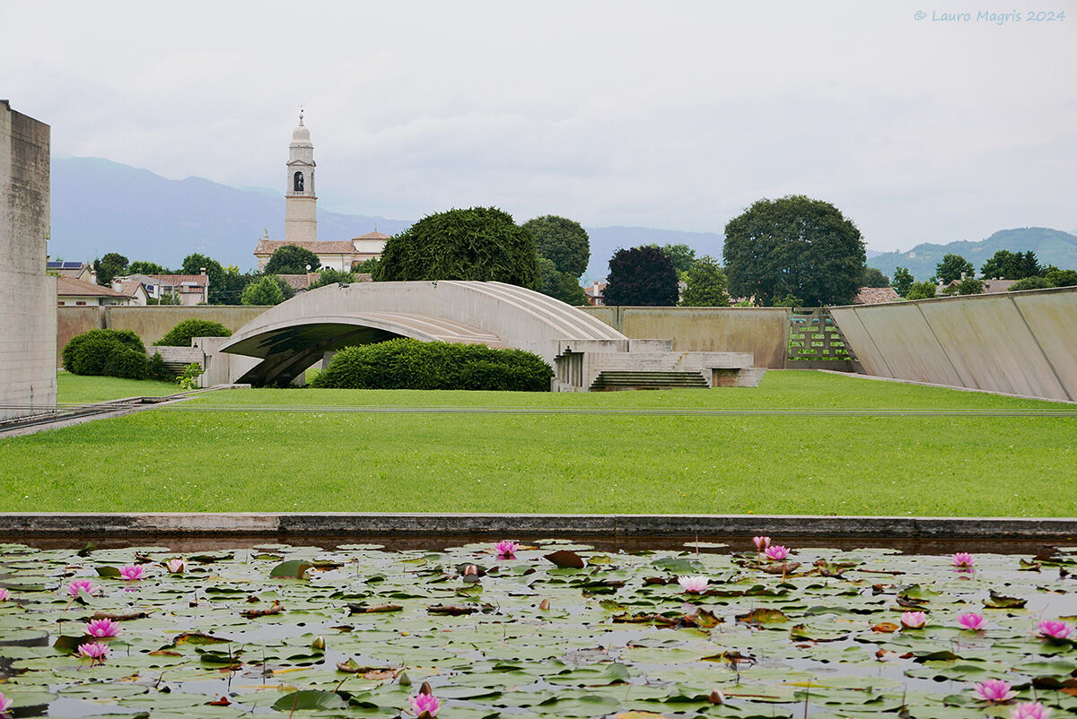 Carp and Water Lilies