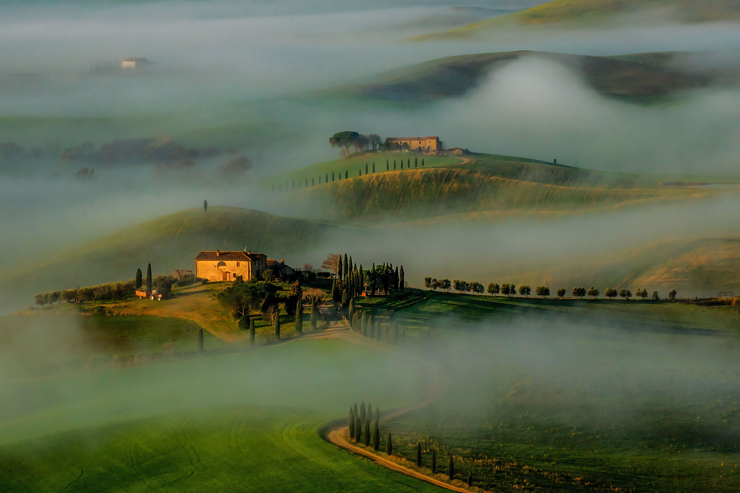 un candido risveglio.