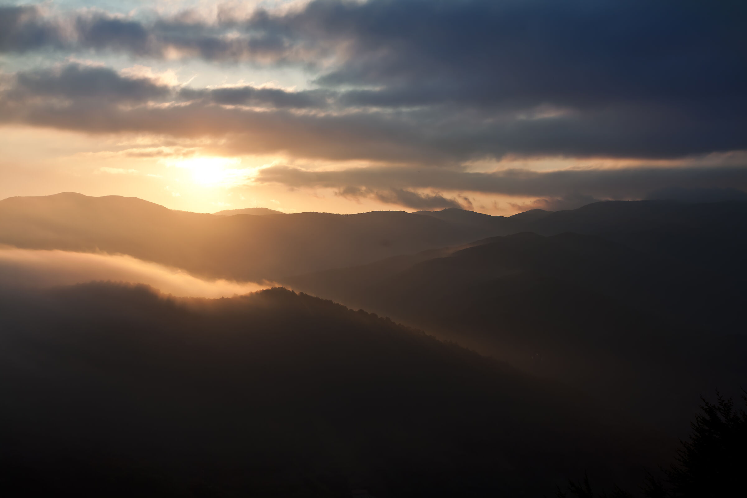 Mille metri di alba
