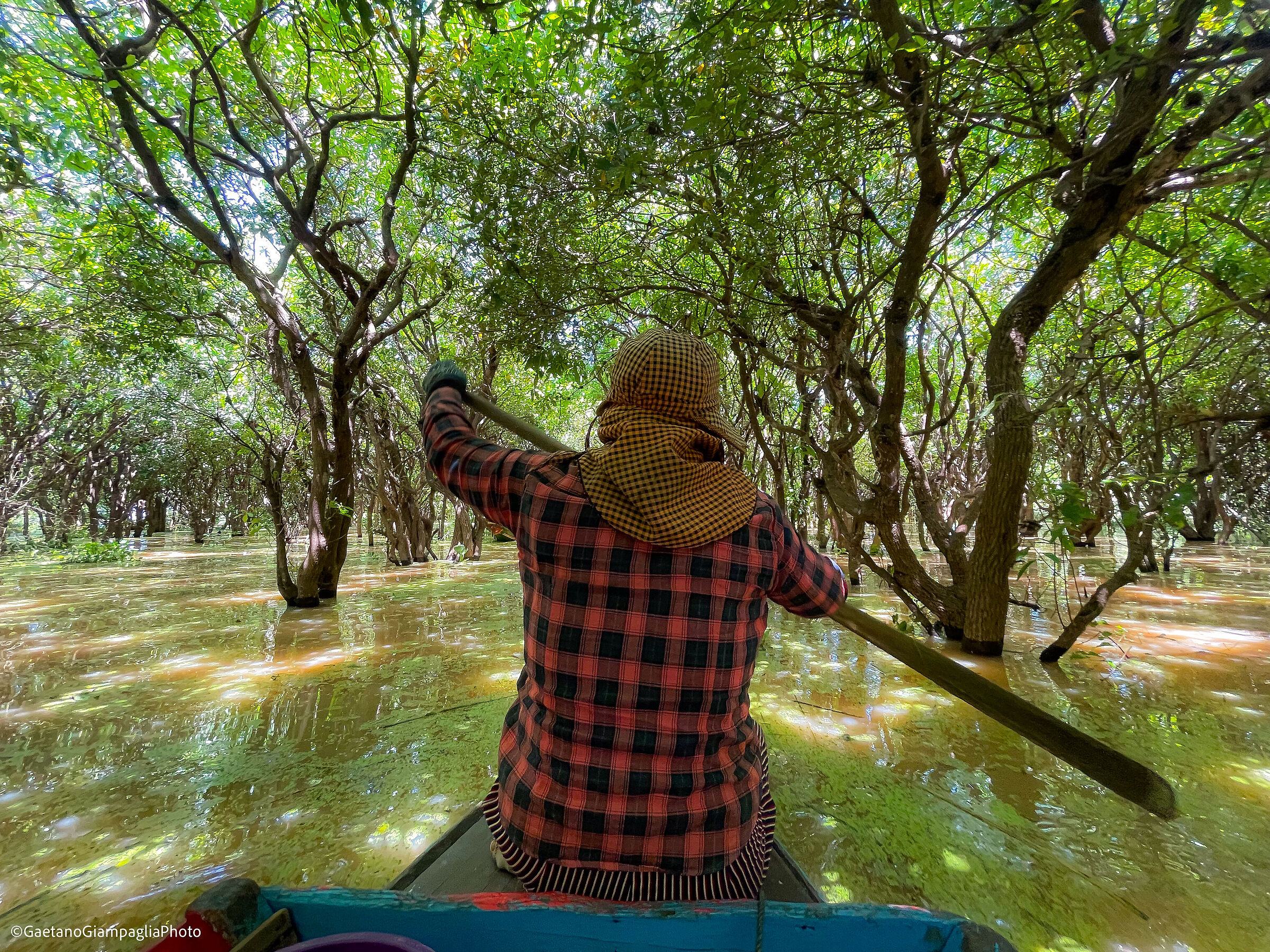 Mekong