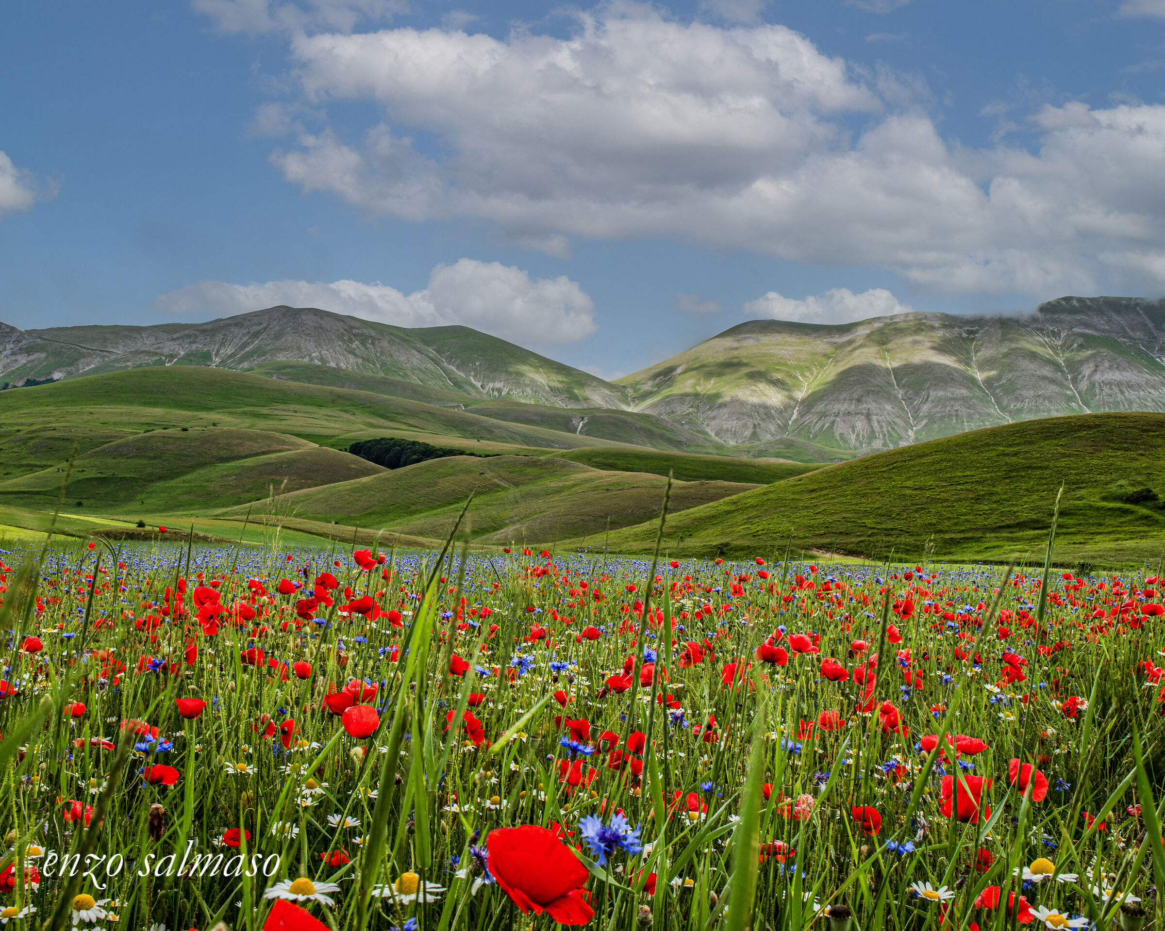 Castelluccio 2