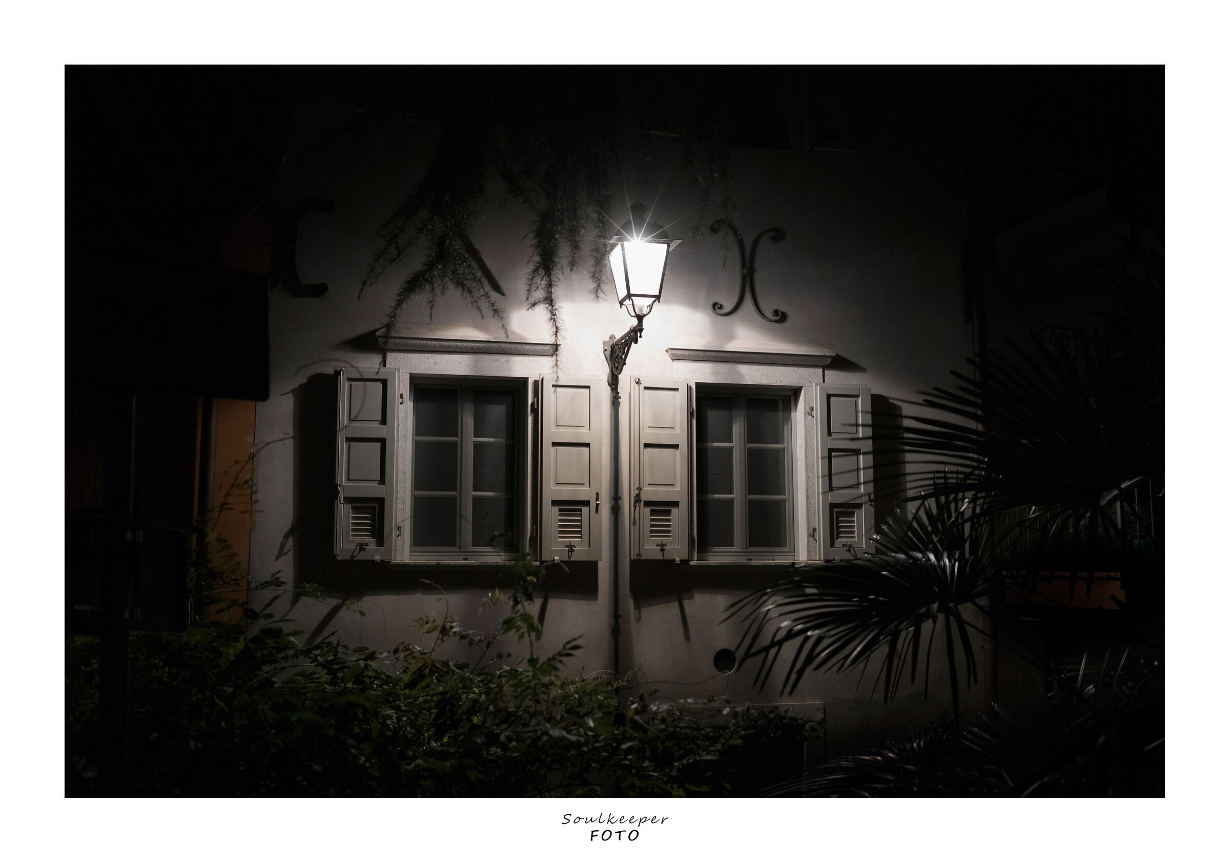 Small glimpses in the evening.