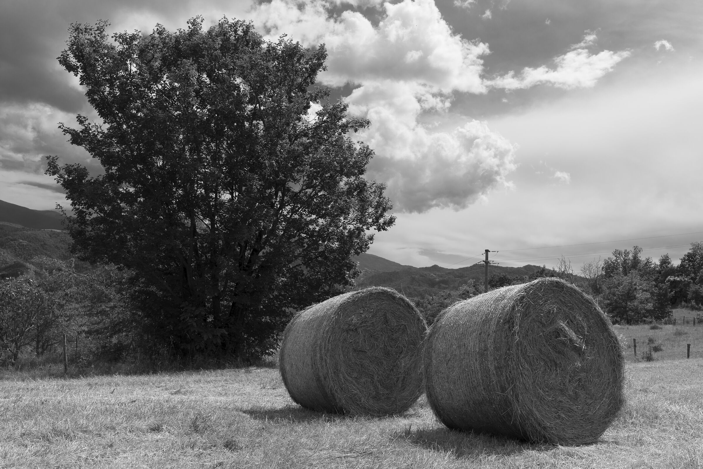 Untitled Photo