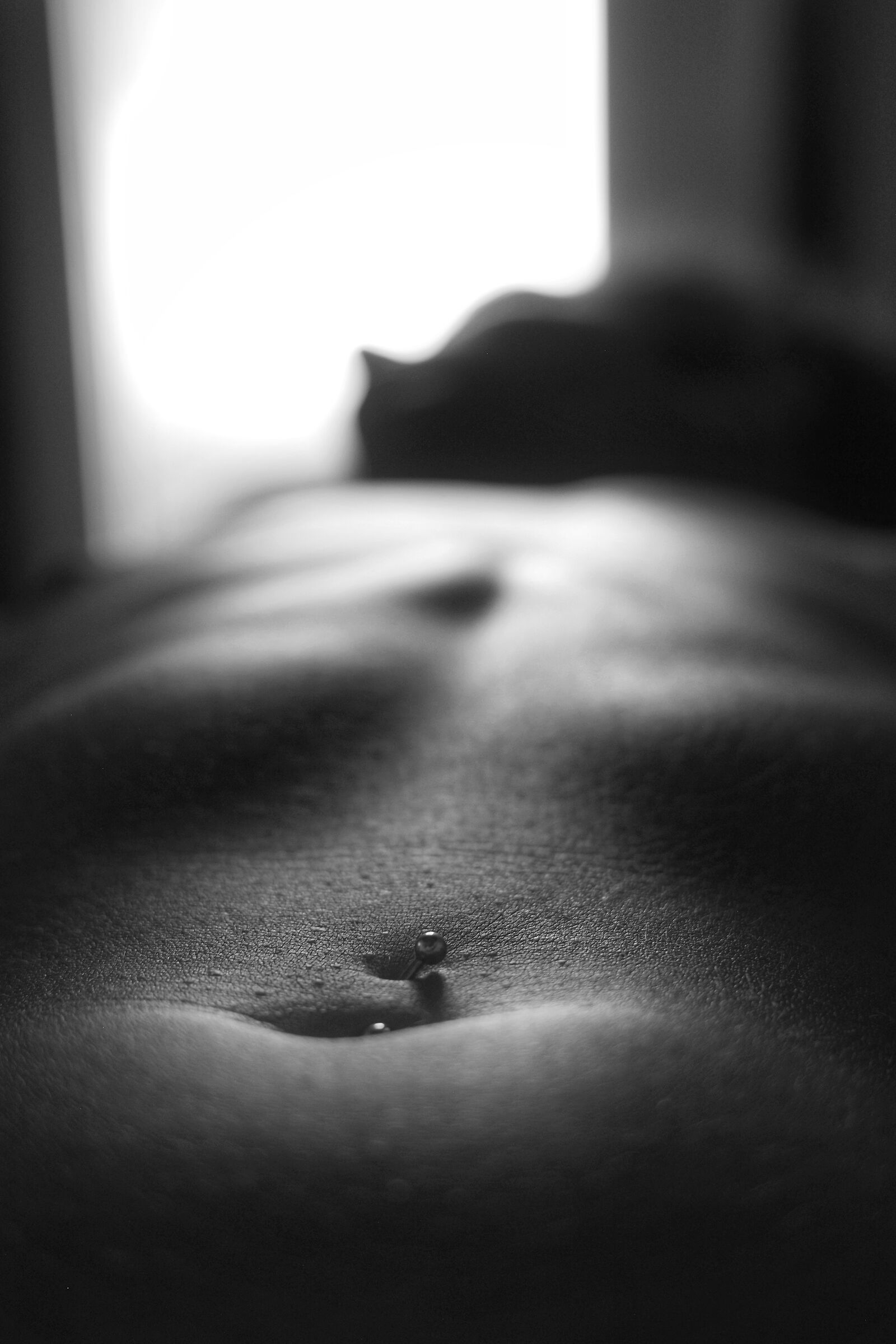 The June air was fresh