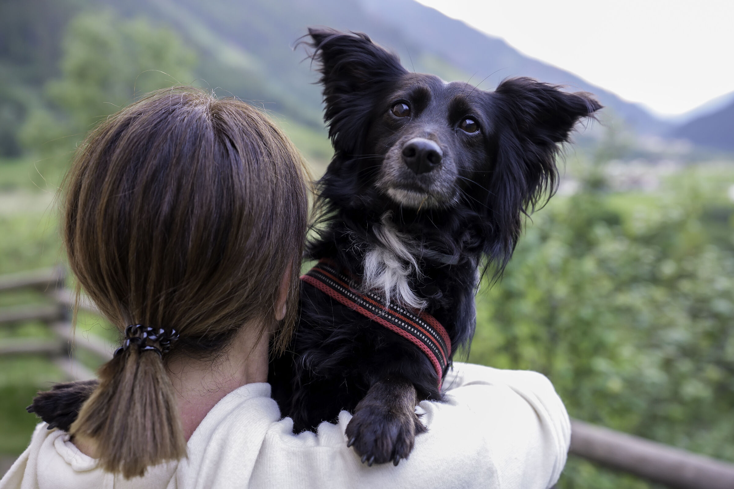 In un luogo sperduto tra i monti!
