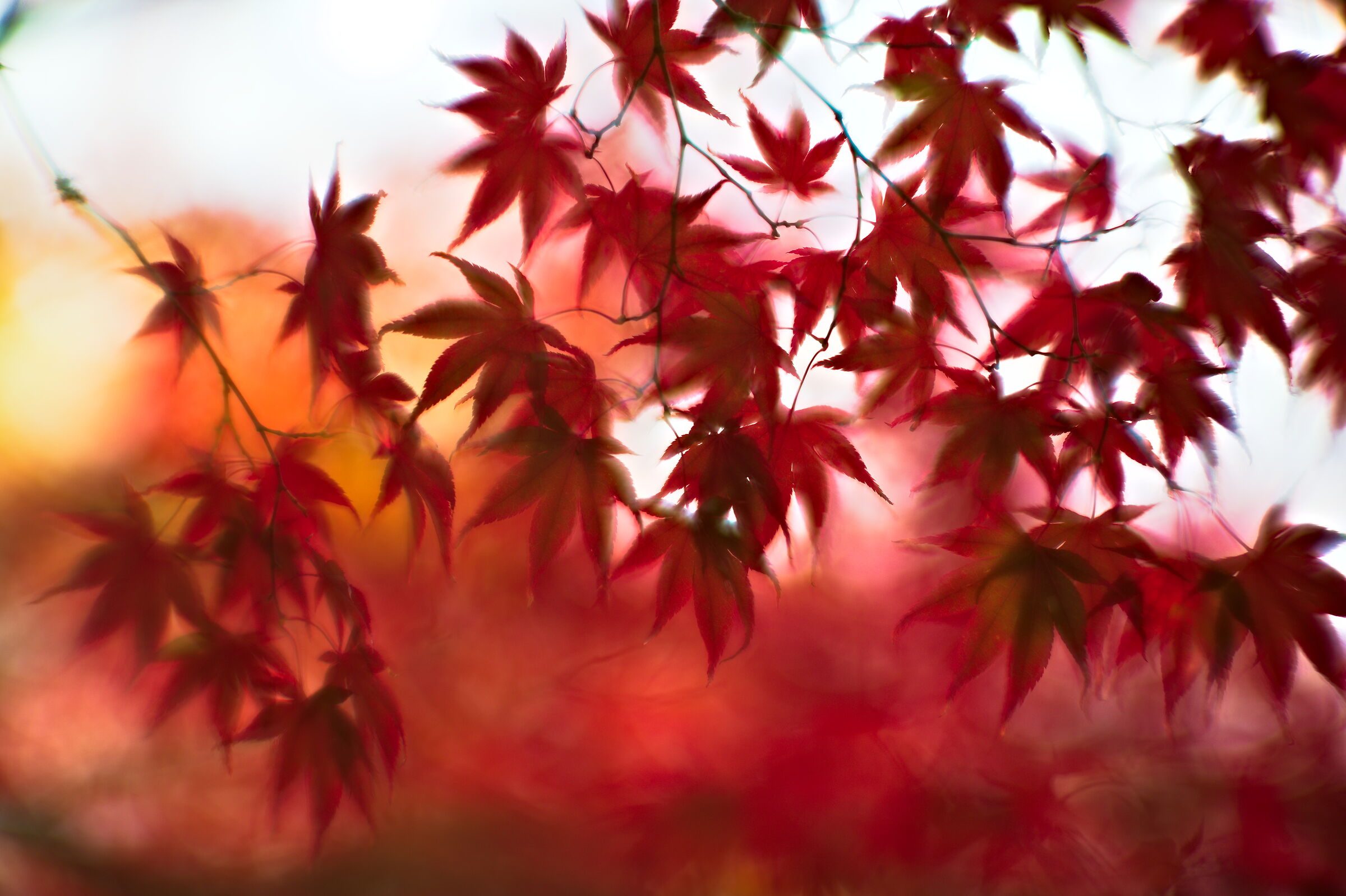 Brightness never gets boring