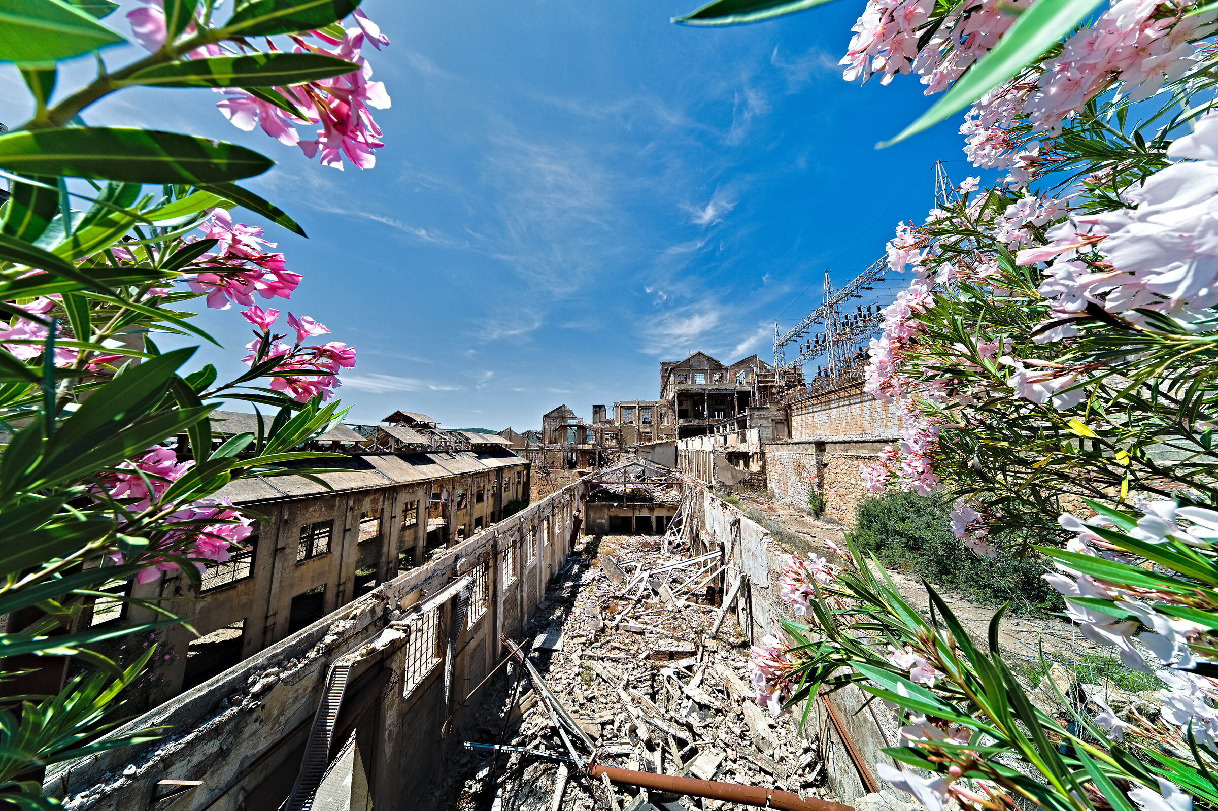 Rovine in fiore