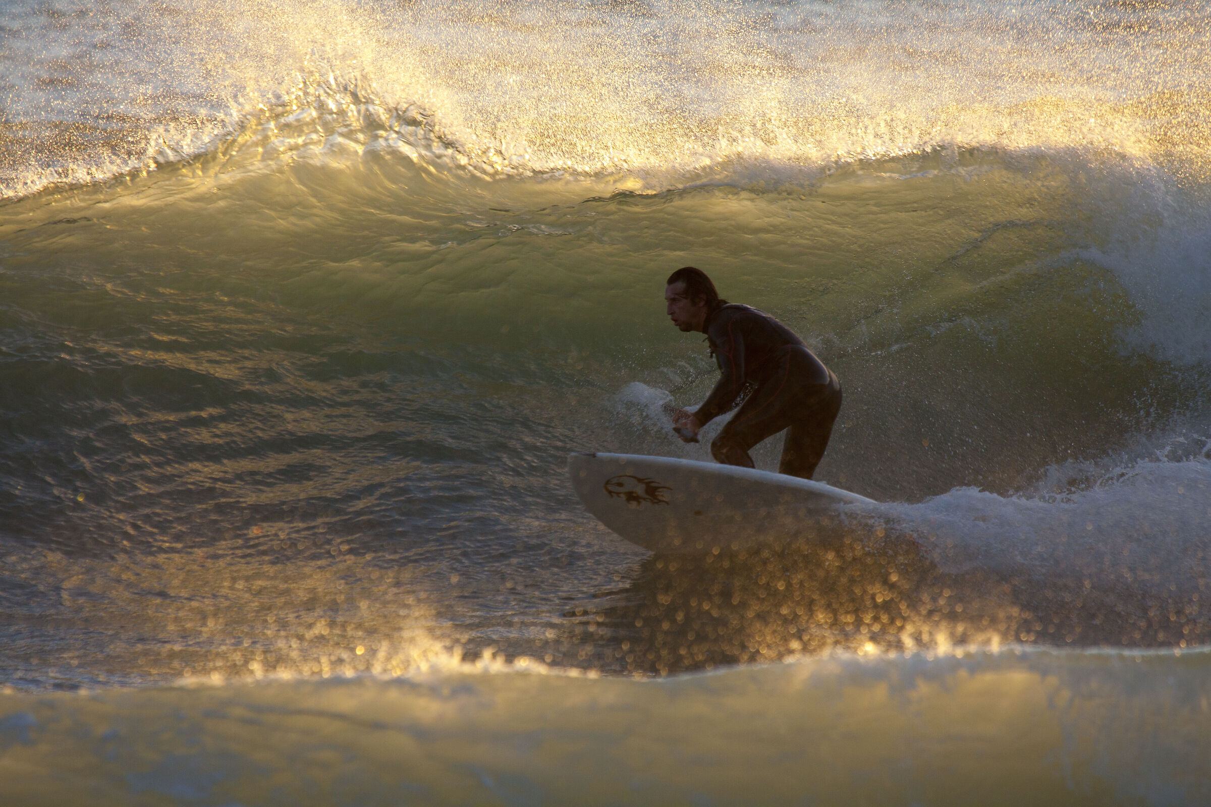 Il surfista d'oro