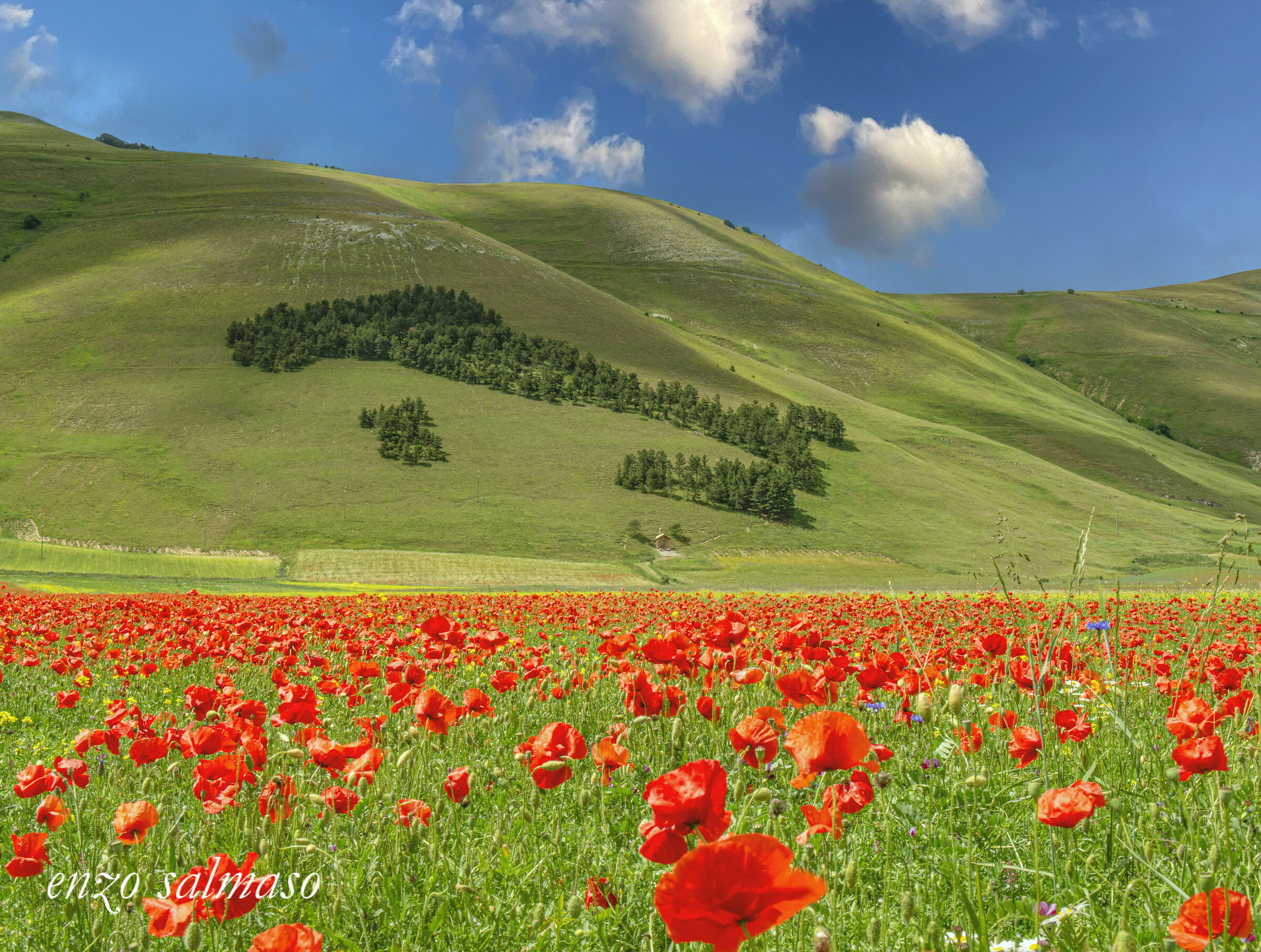 Castelluccio