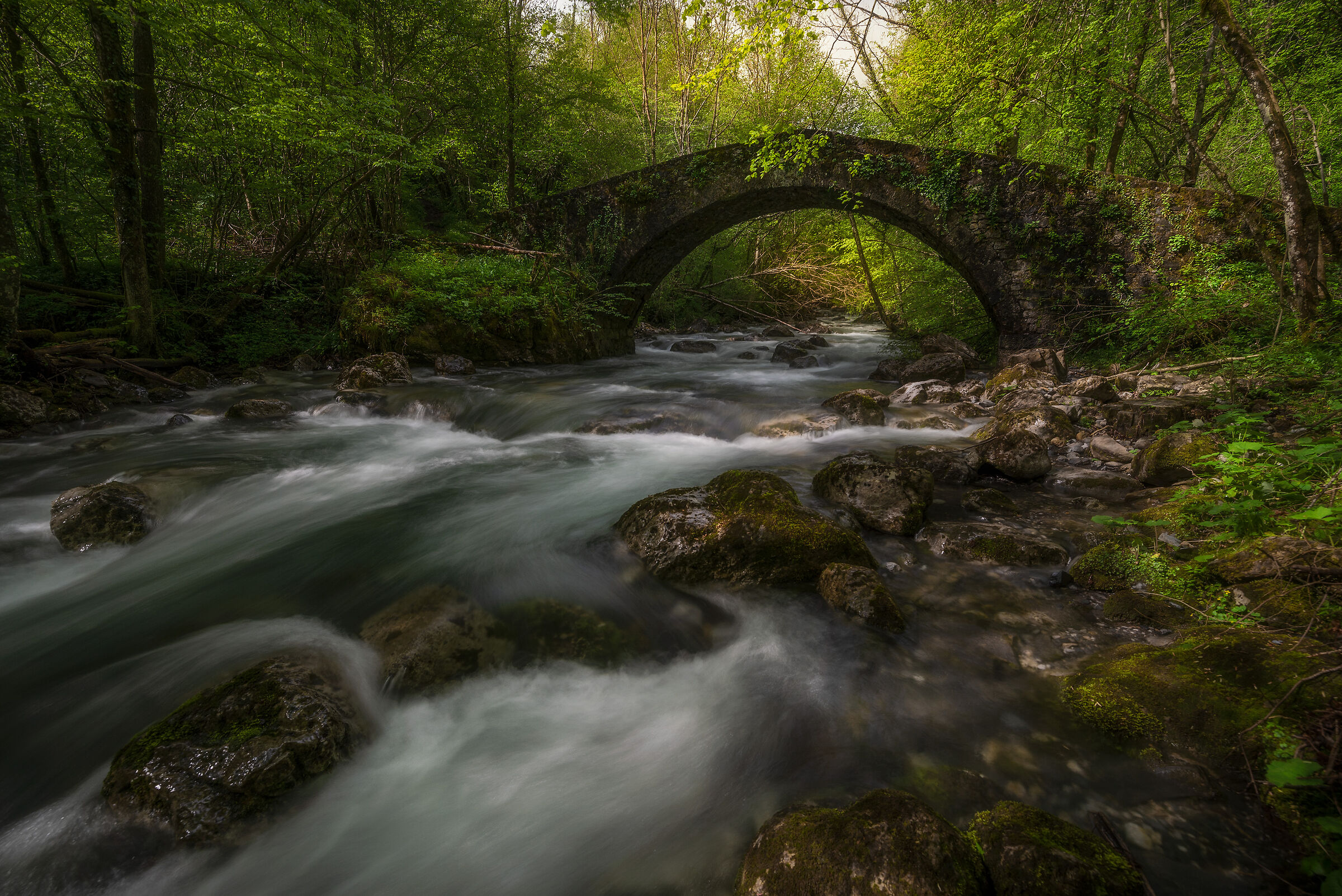 Il vecchio ponte