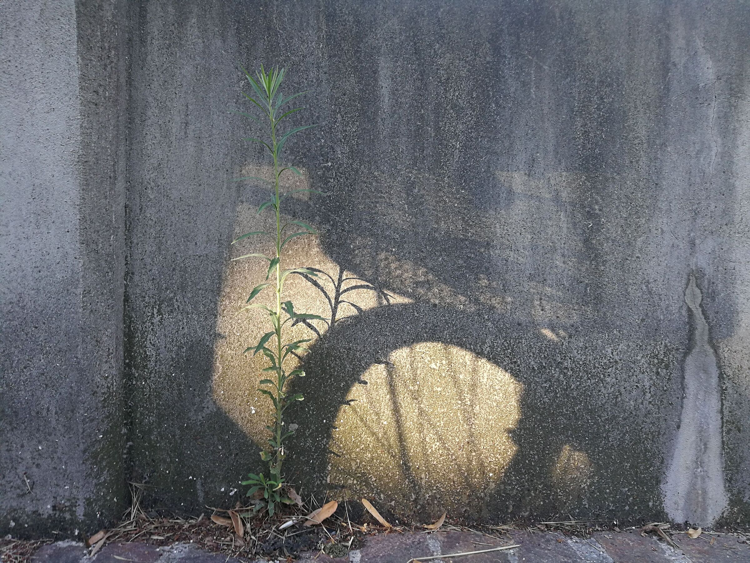 Untitled Photo