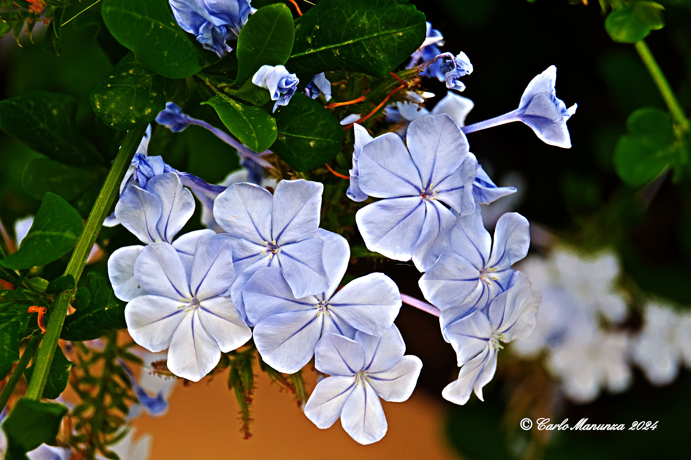 Untitled Photo