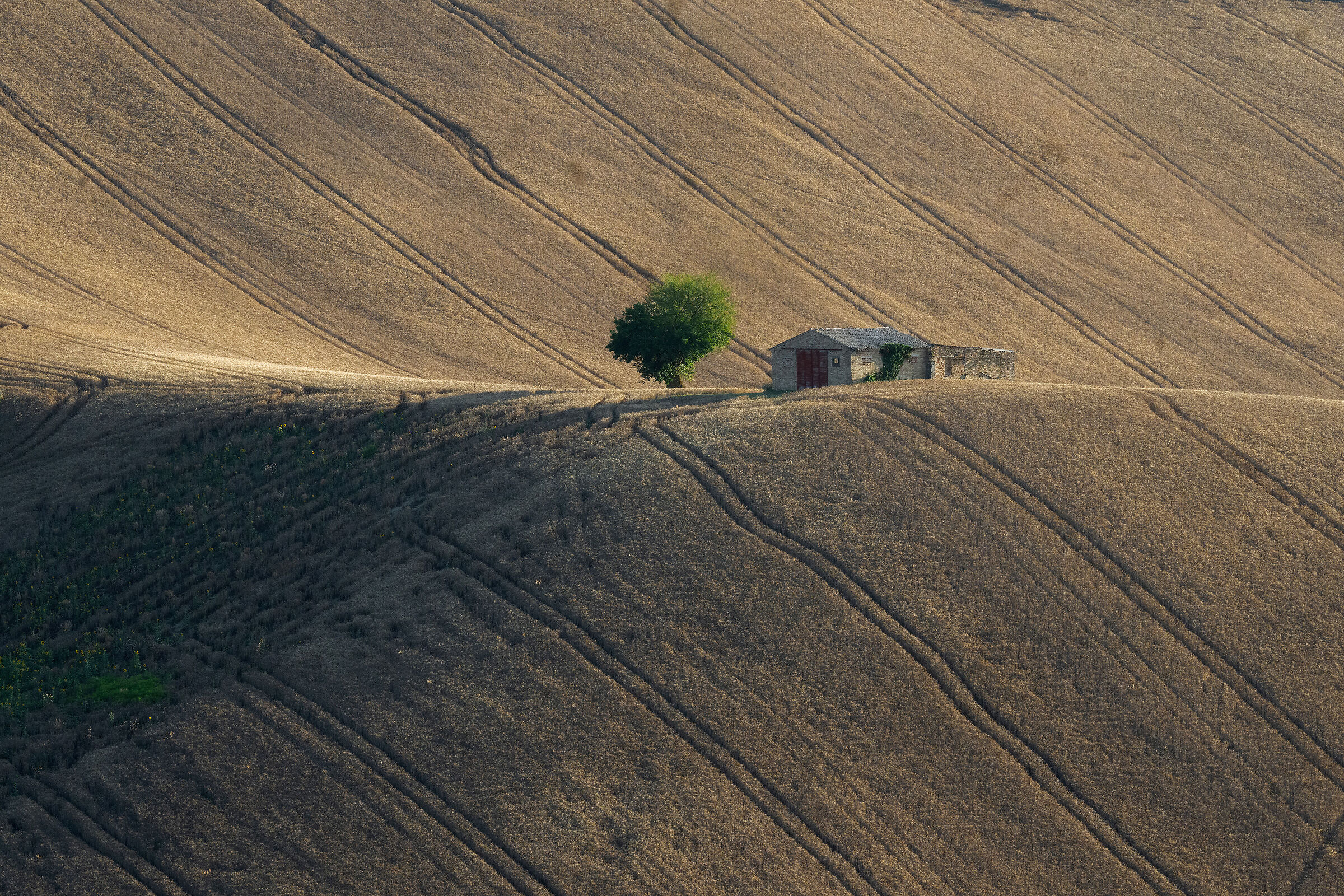 Marche countryside