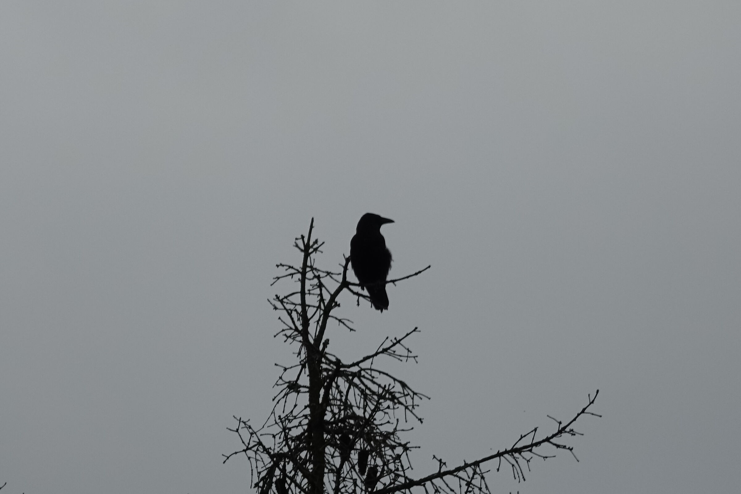 Untitled Photo