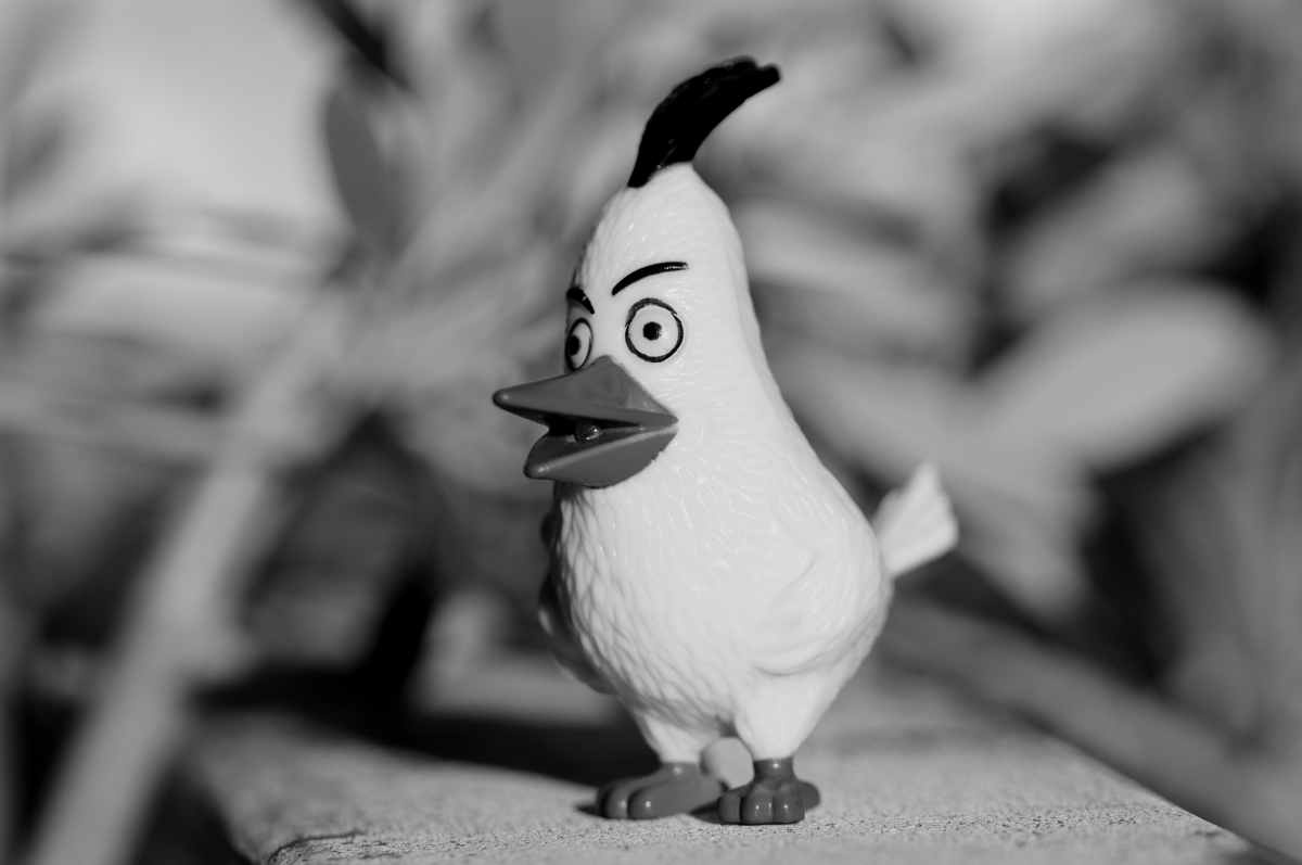 l'usellin dela comare