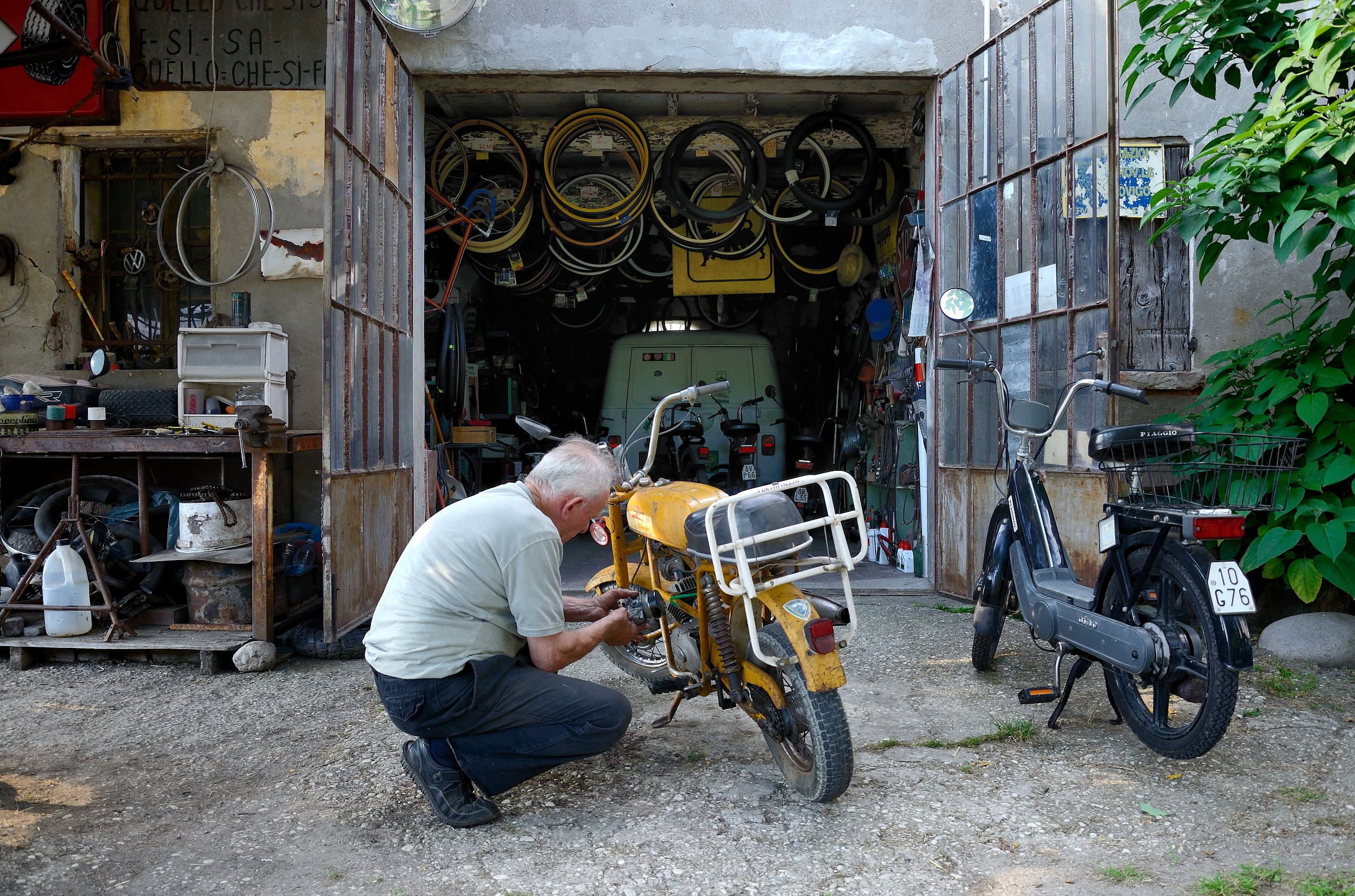 Selva di Barberry (ro) - El Biso