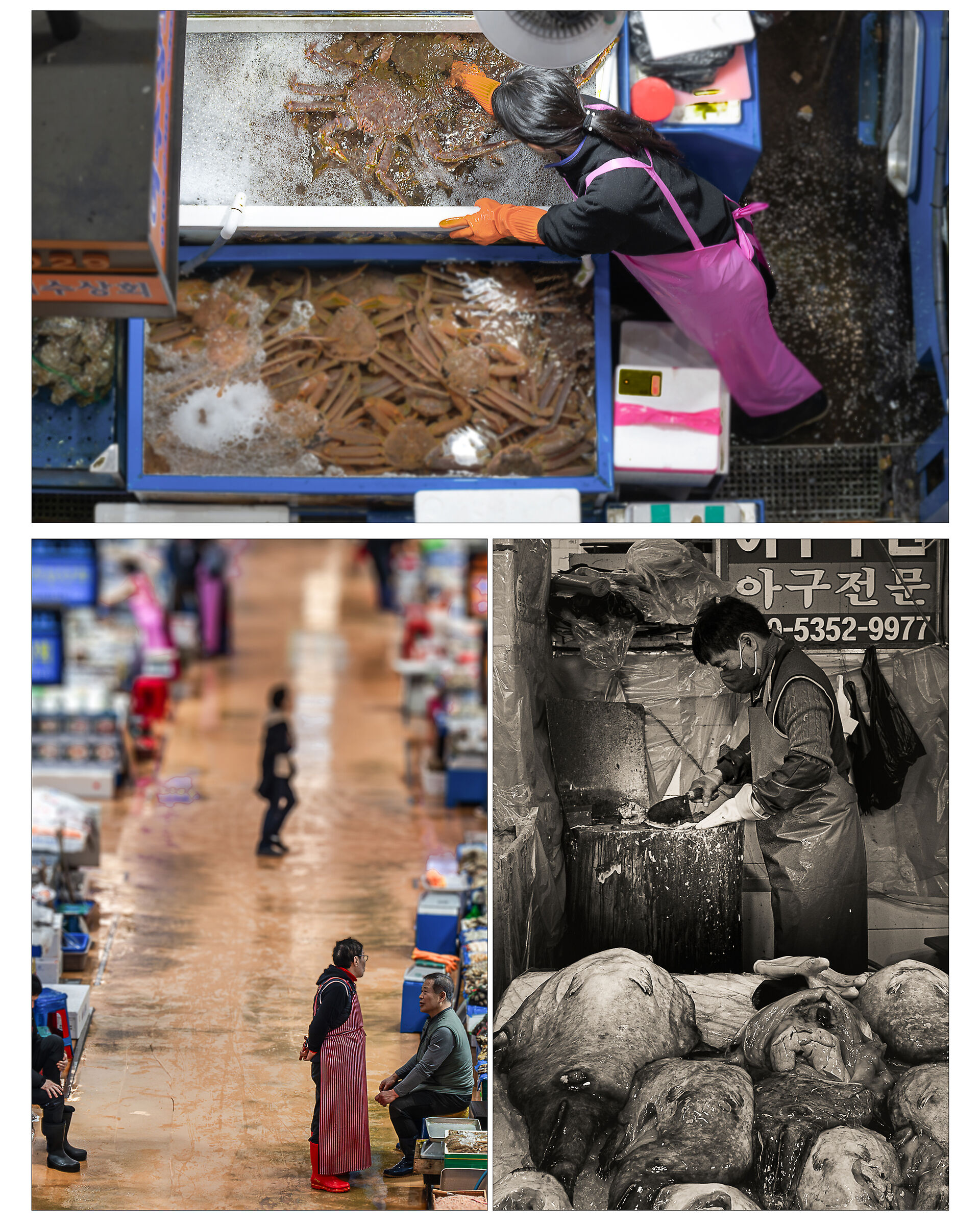Seoul Market Collage