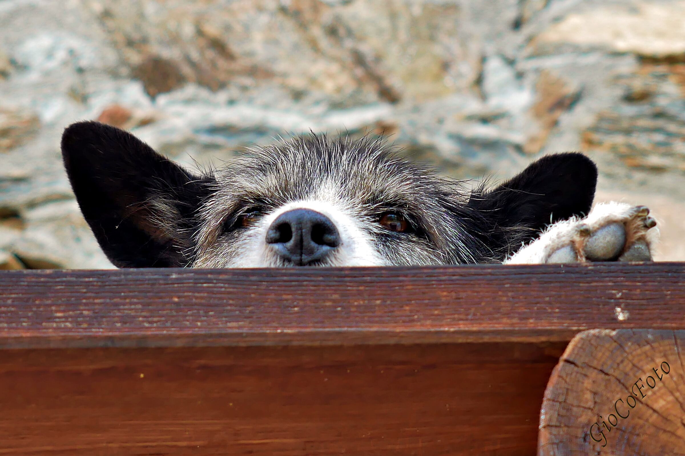 ...ti tengo d'occhio!