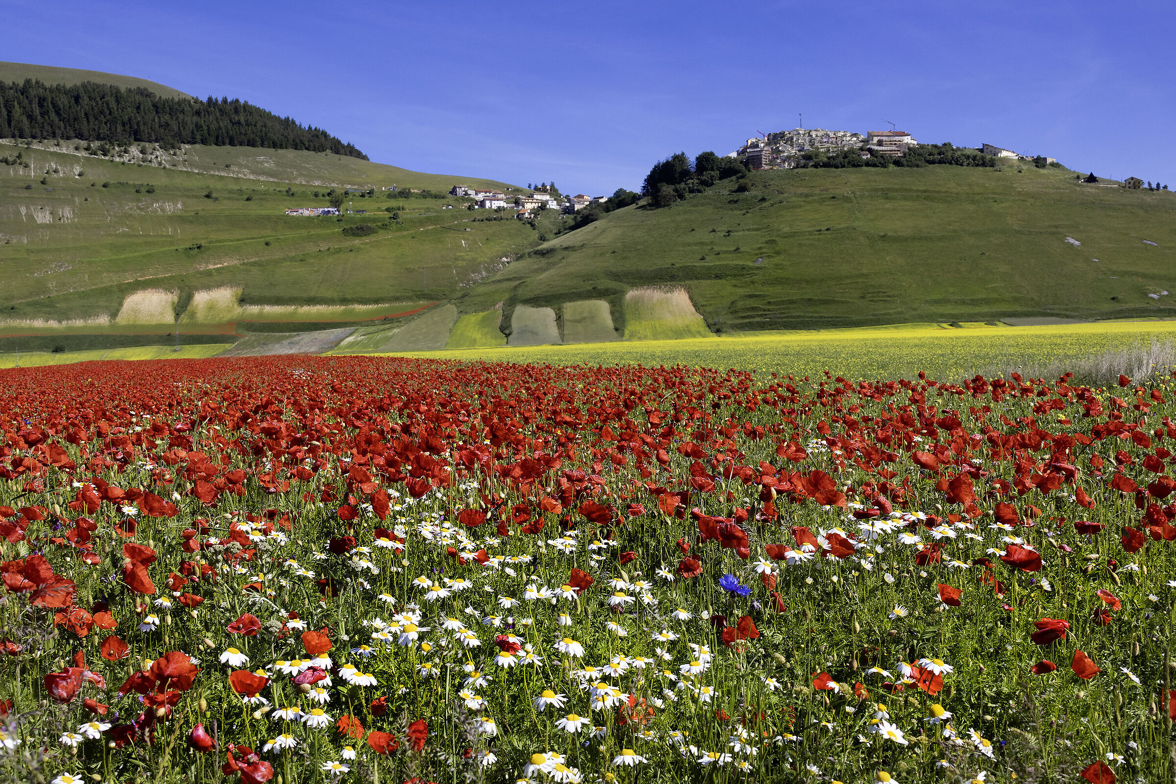 Castelluccio di Norcia
