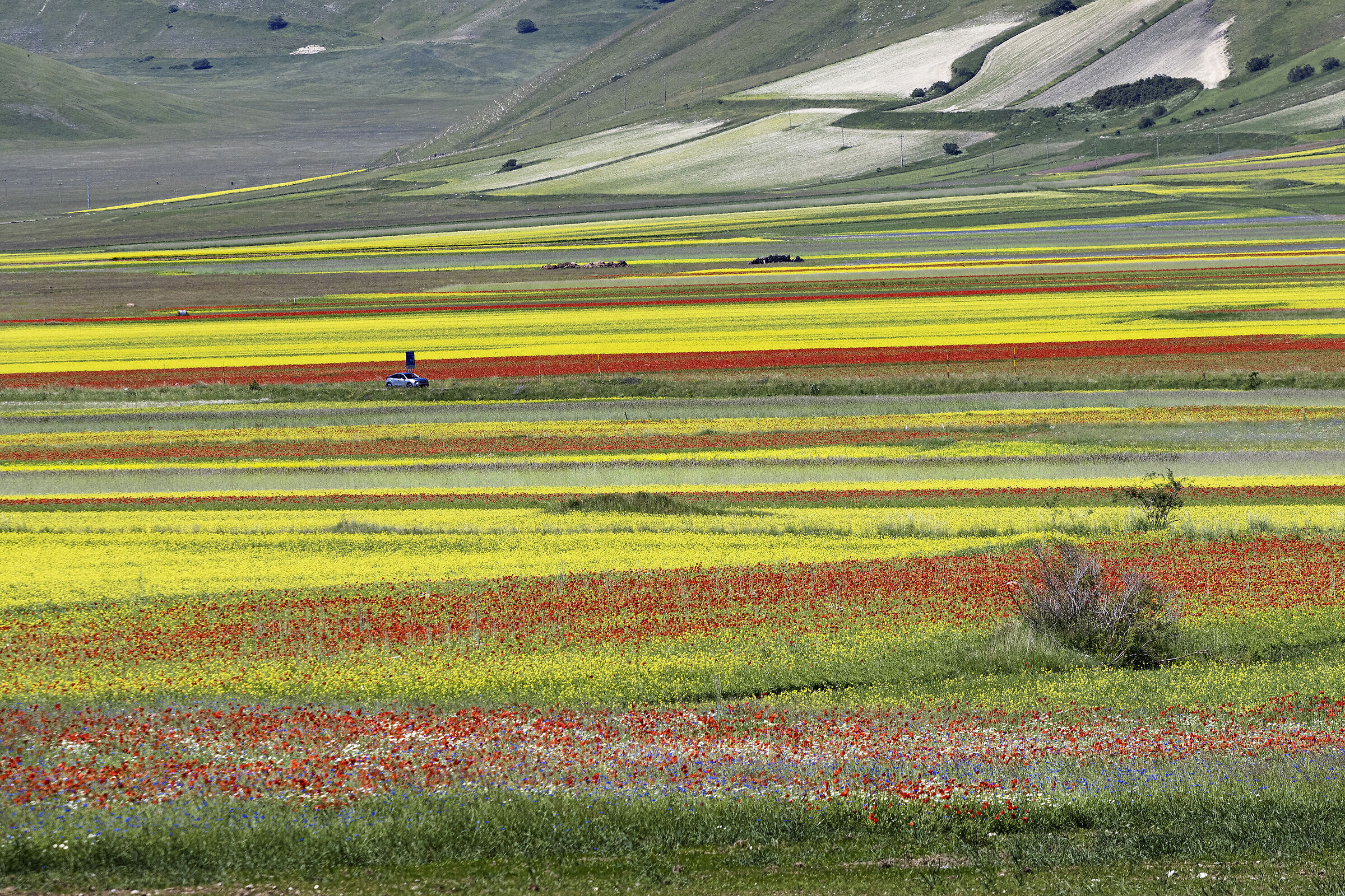 Castelluccio di Norcia