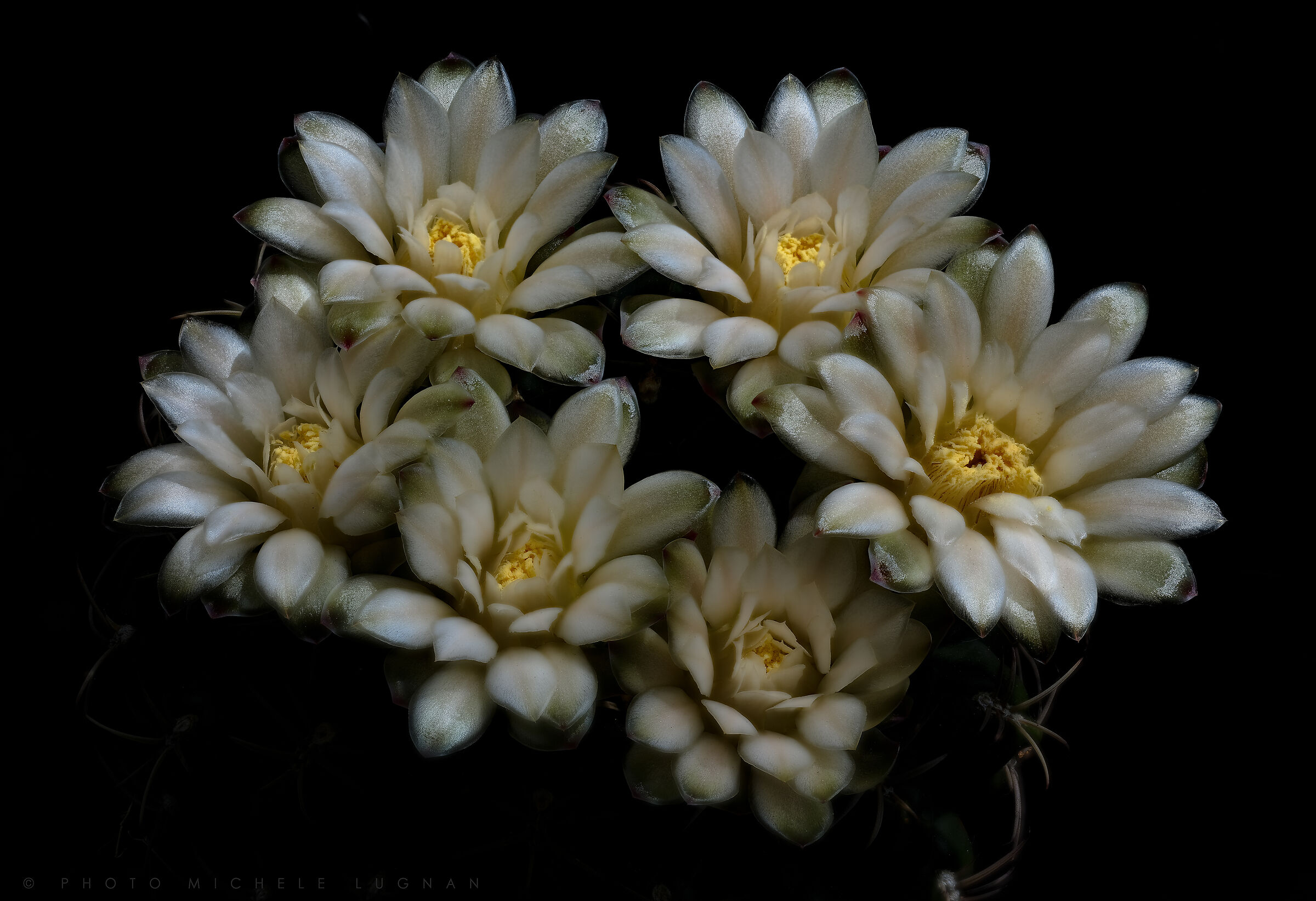 Scented silk