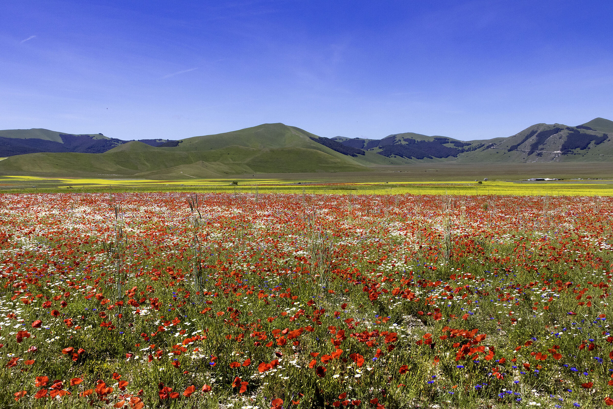 I Piani di Castelluccio
