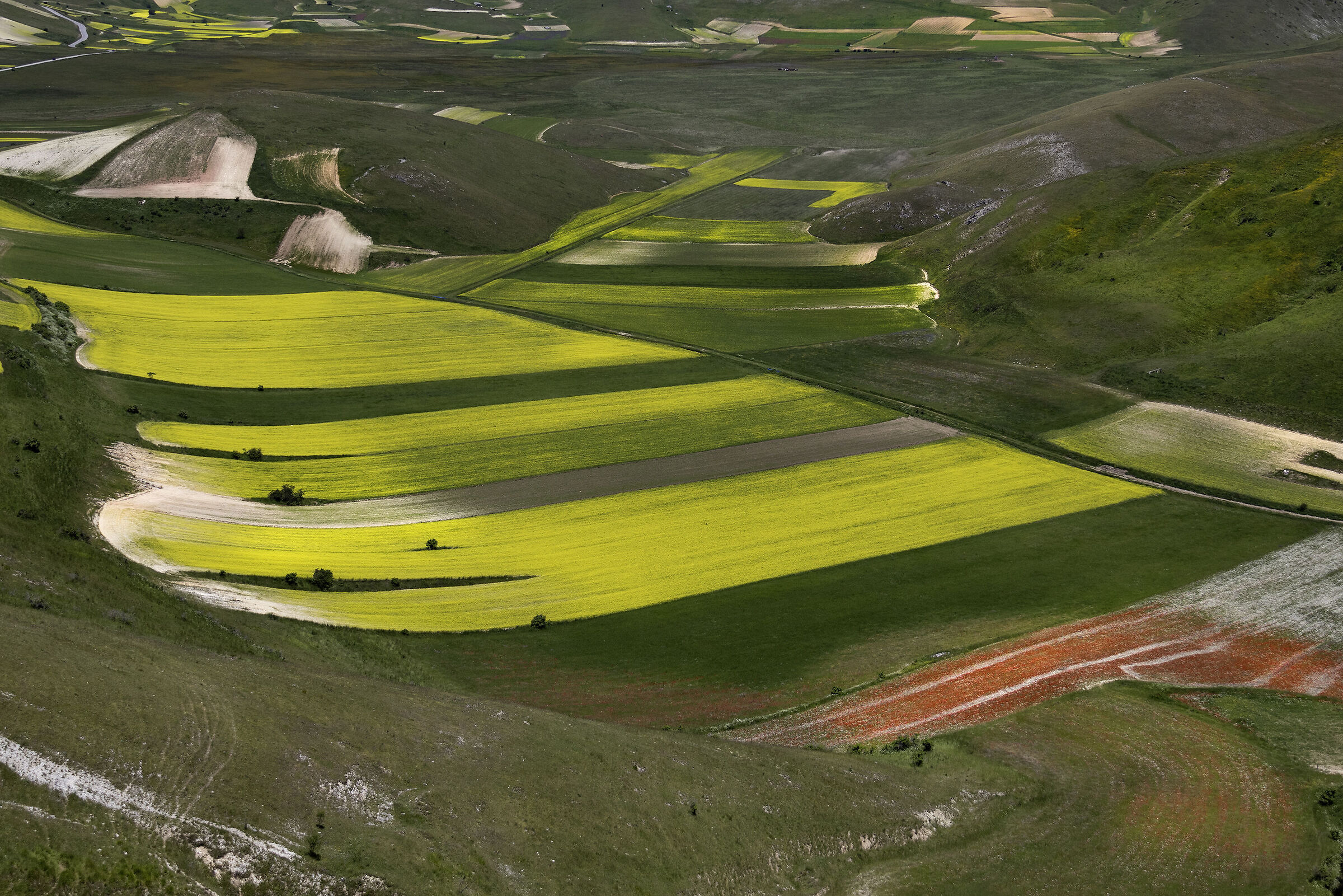 I Piani di Castelluccio
