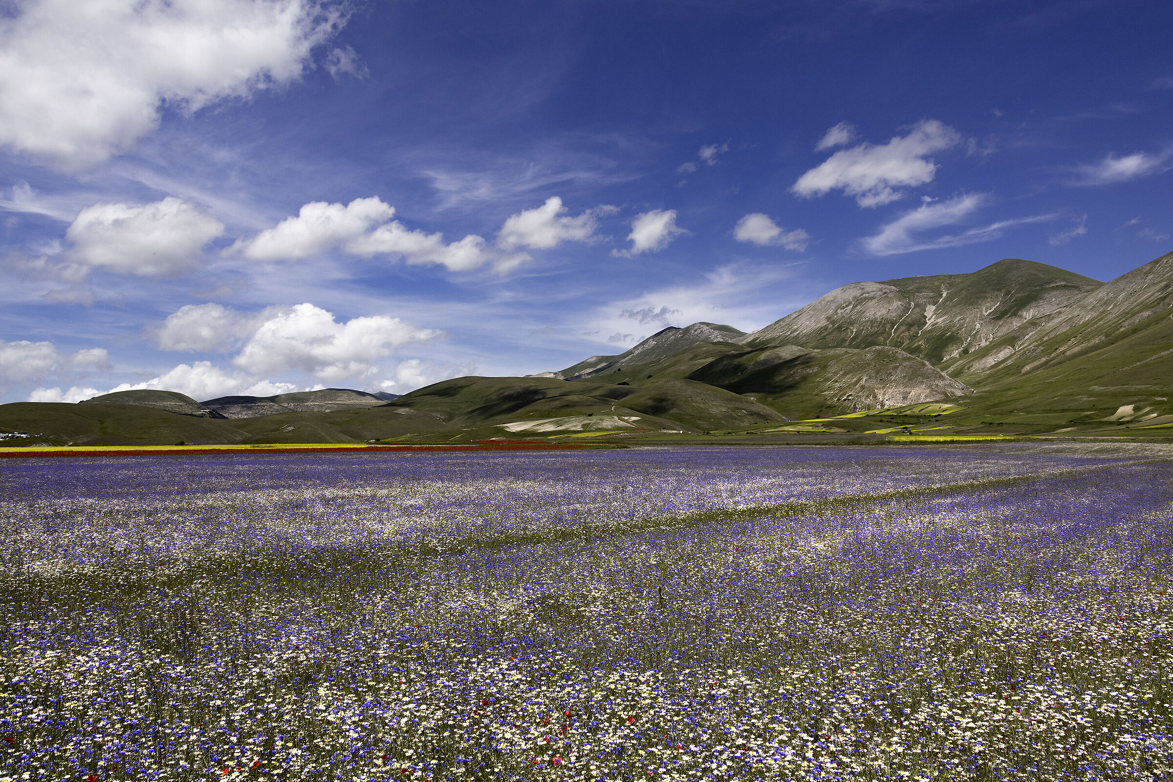 I Piani di Castelluccio