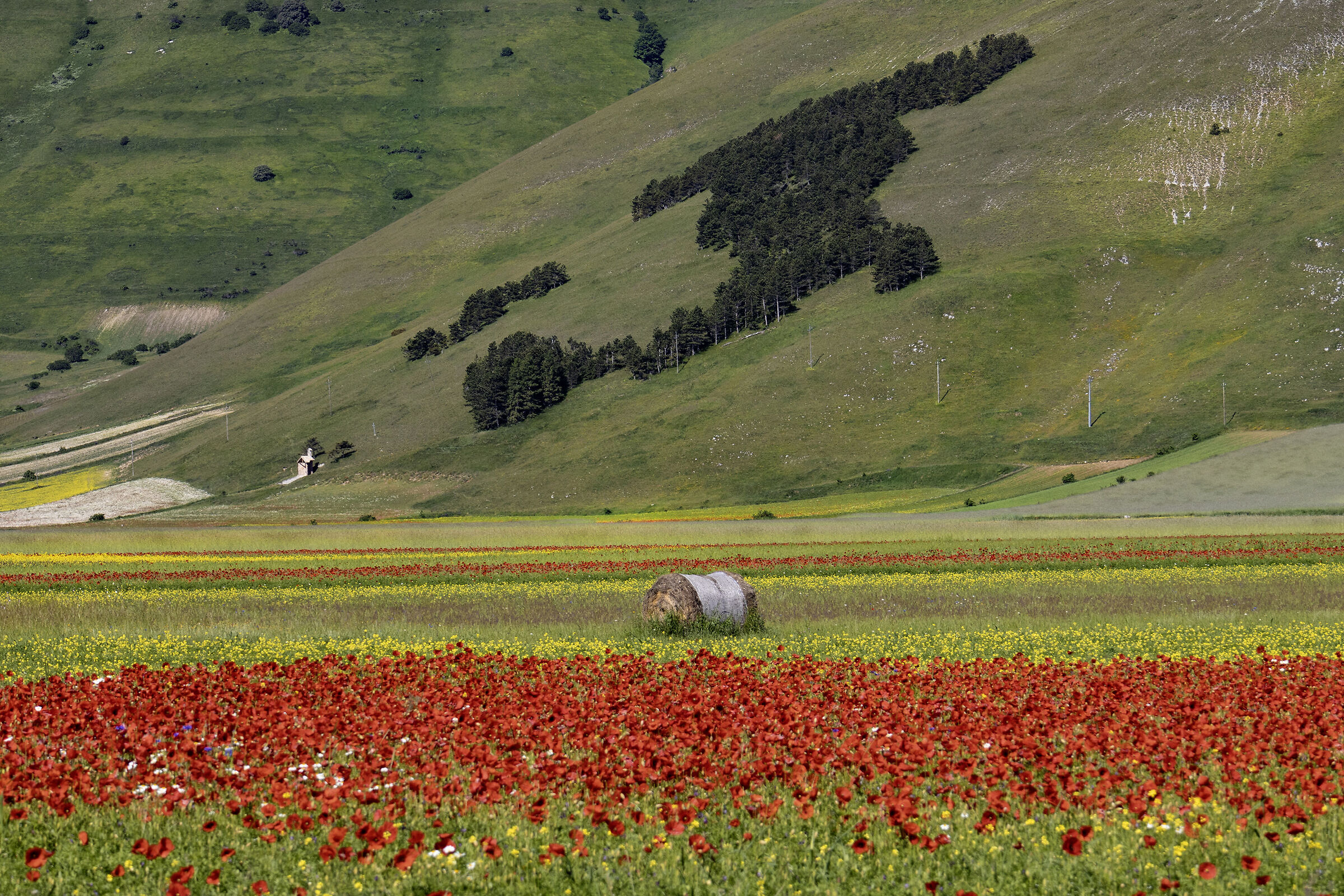 Italia