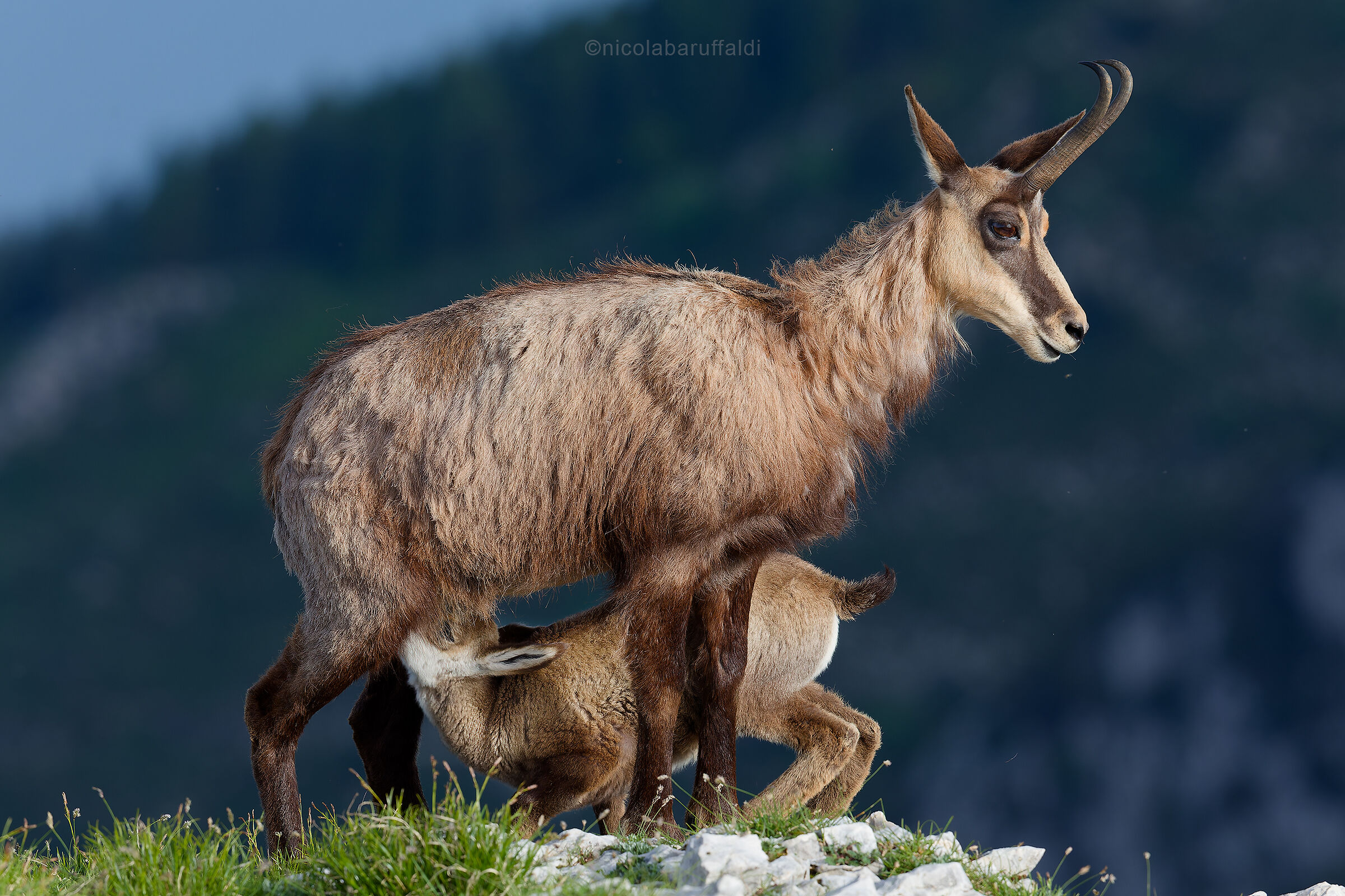 Mom and the baby