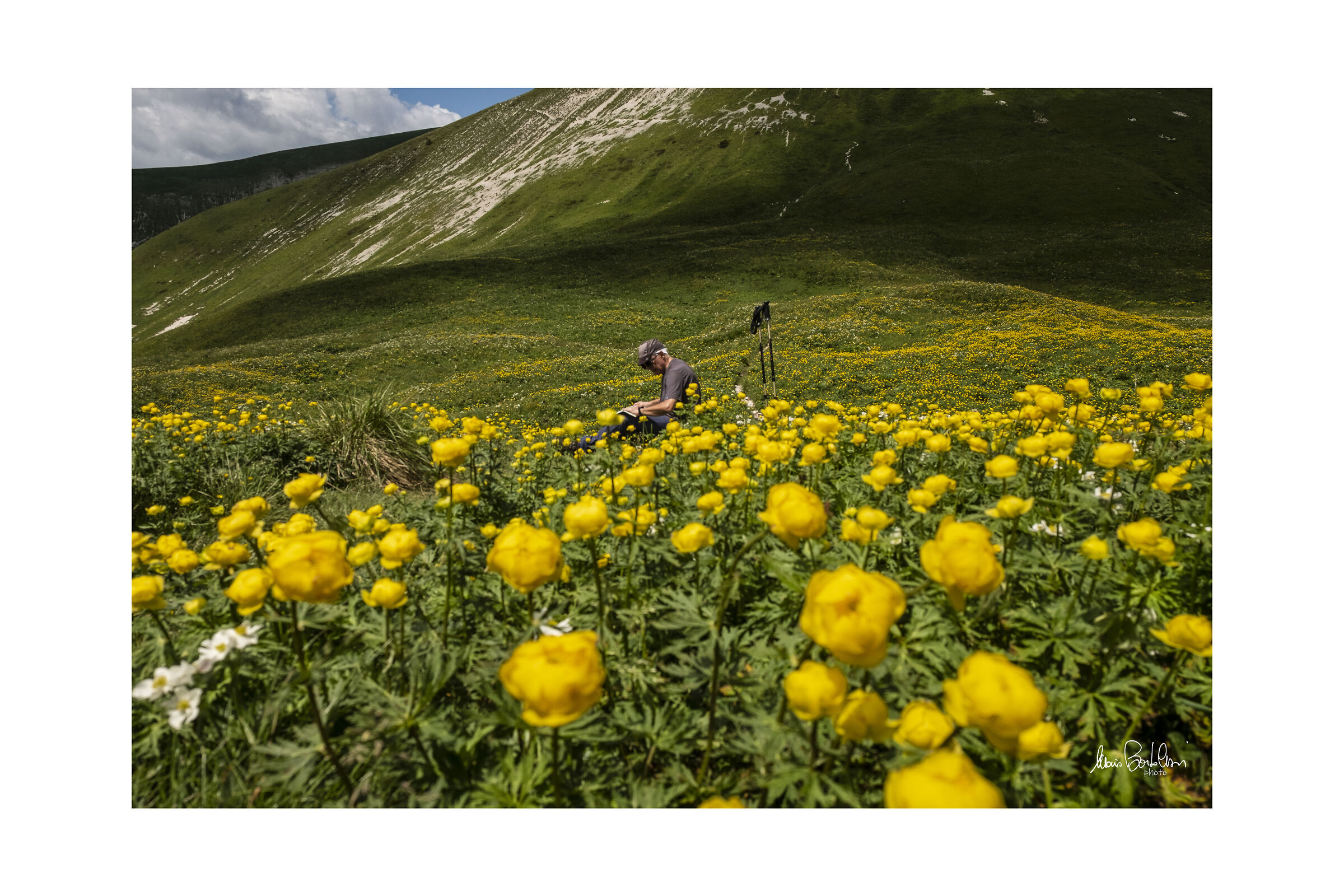Alpi Feltrine