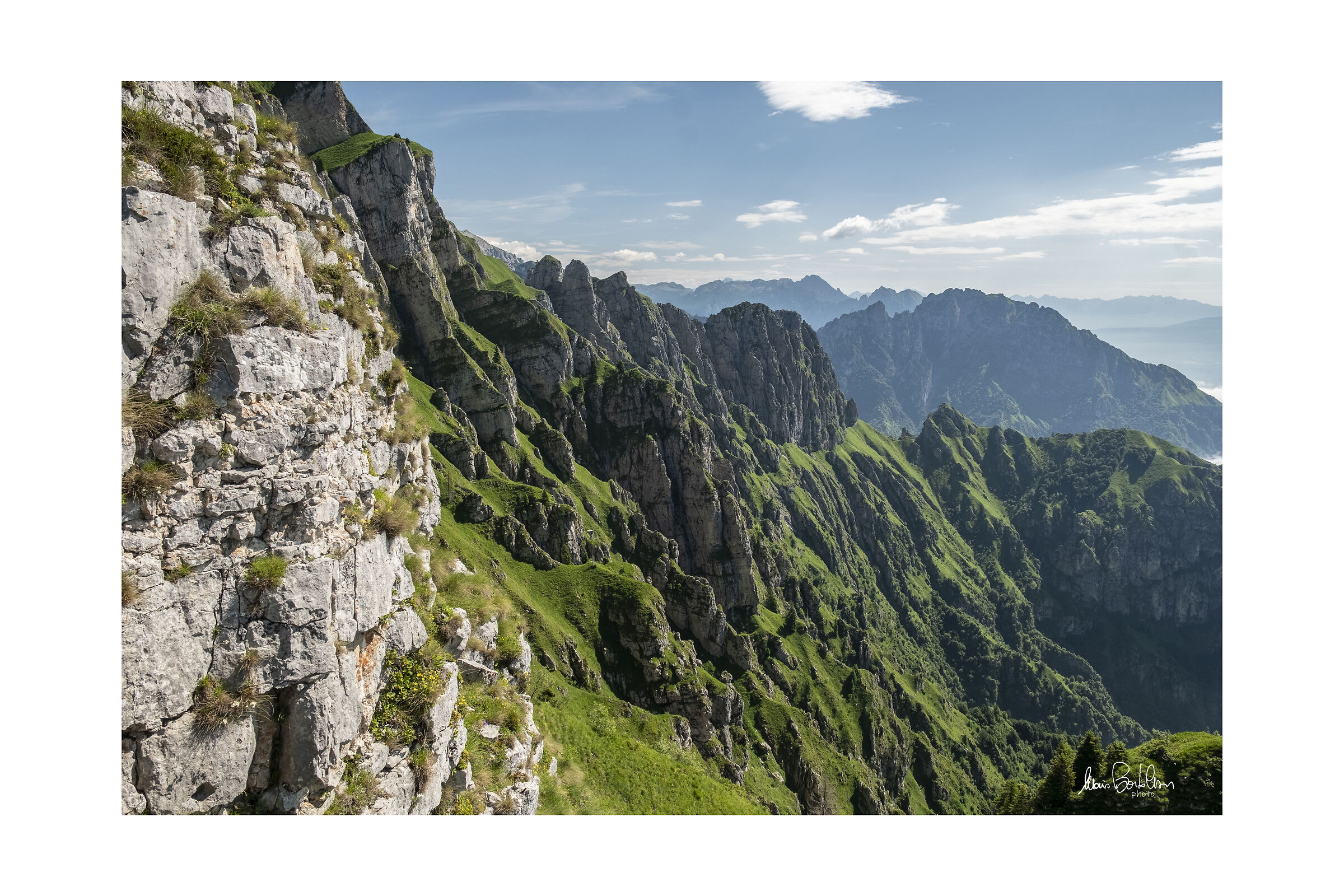Alpi Feltrine