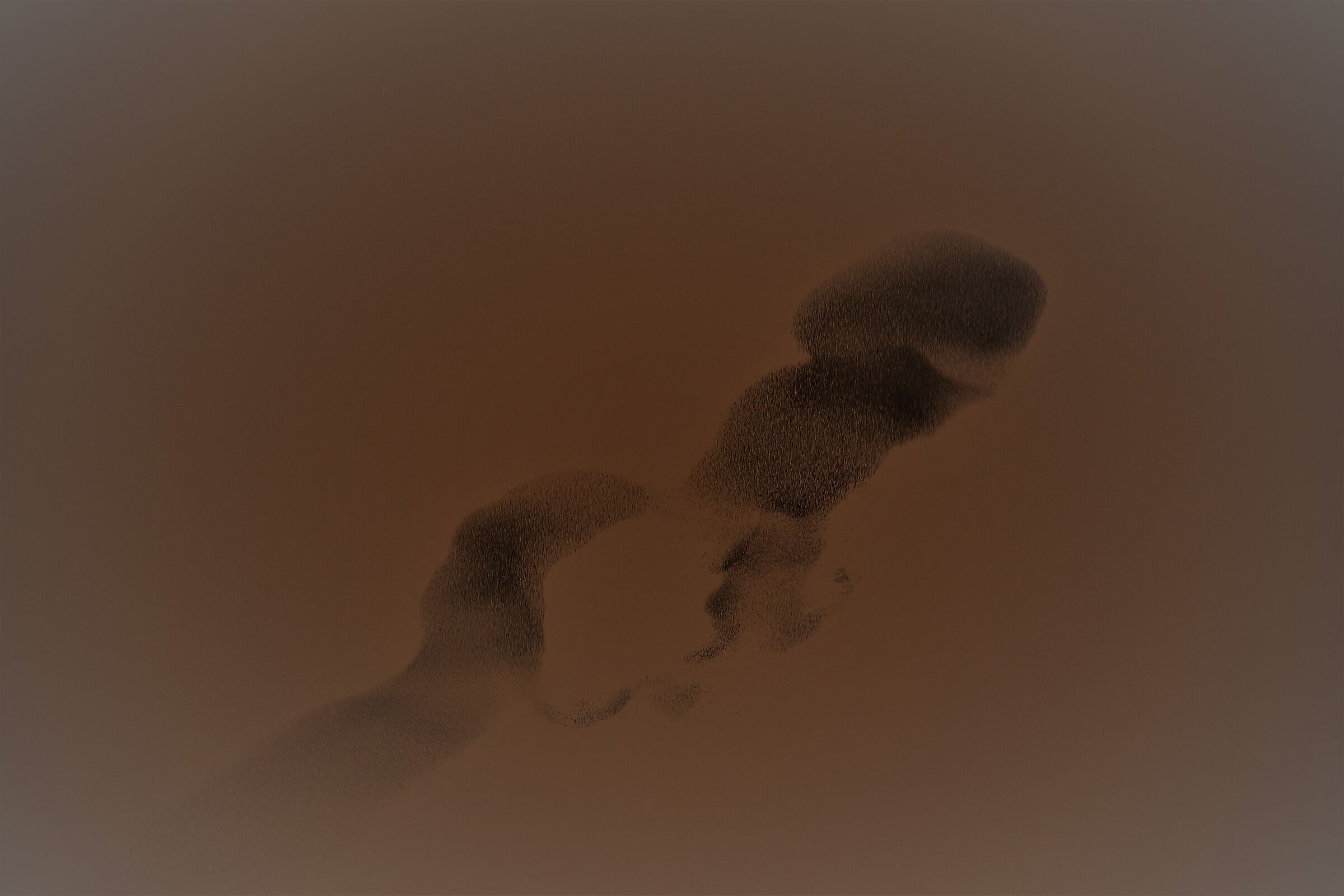 Even birds have seen Italy Switzerland...