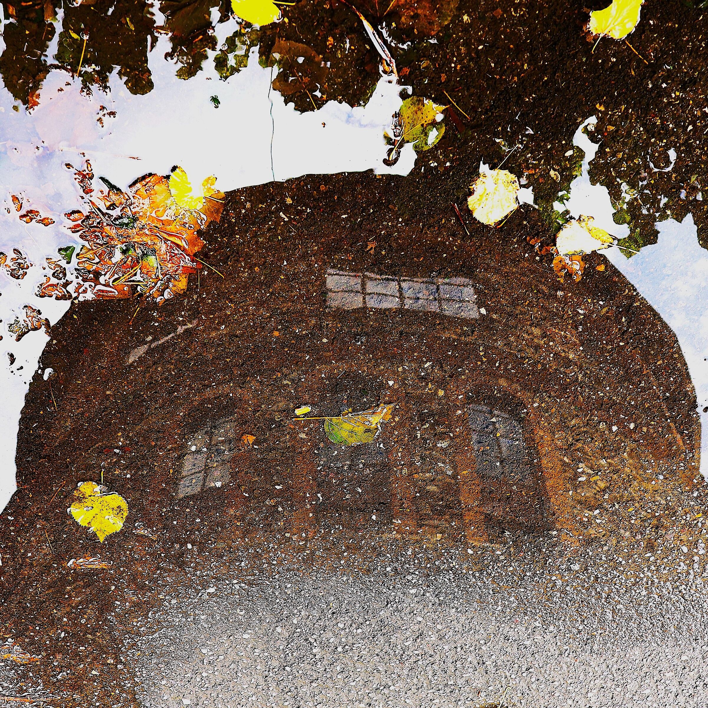 Magic after the storm