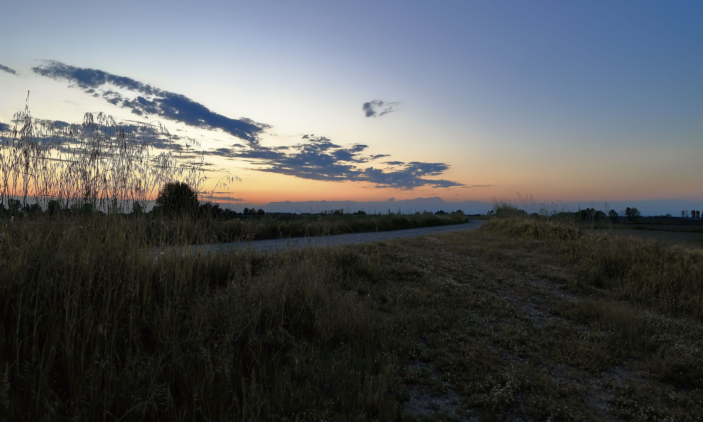 Slowly, calmly, without a prescia